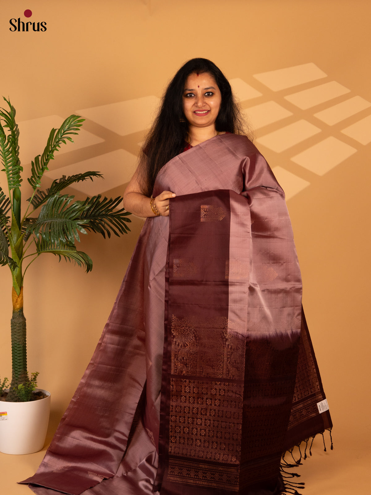 Dusty Brown & Brown- Soft Silk Saree - Shop on Shrus.com