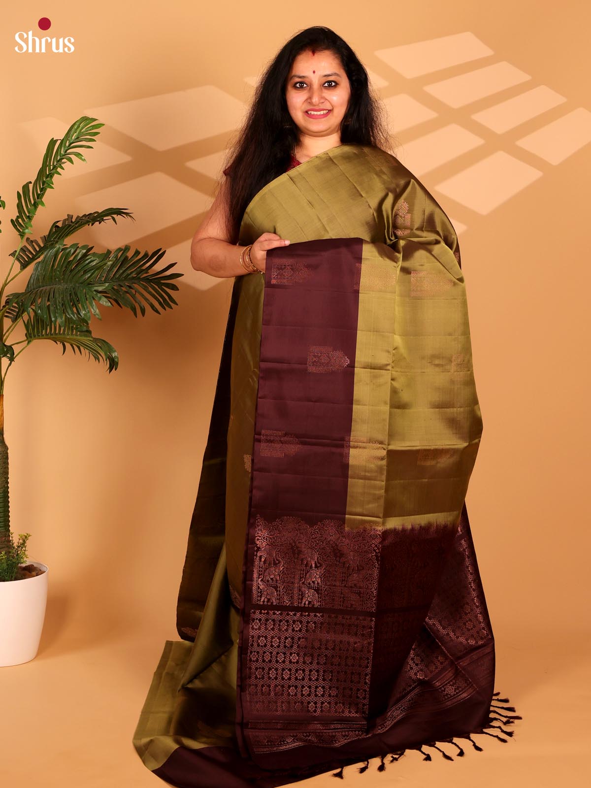 Green & Brown - Soft Silk Saree - Shop on Shrus.com
