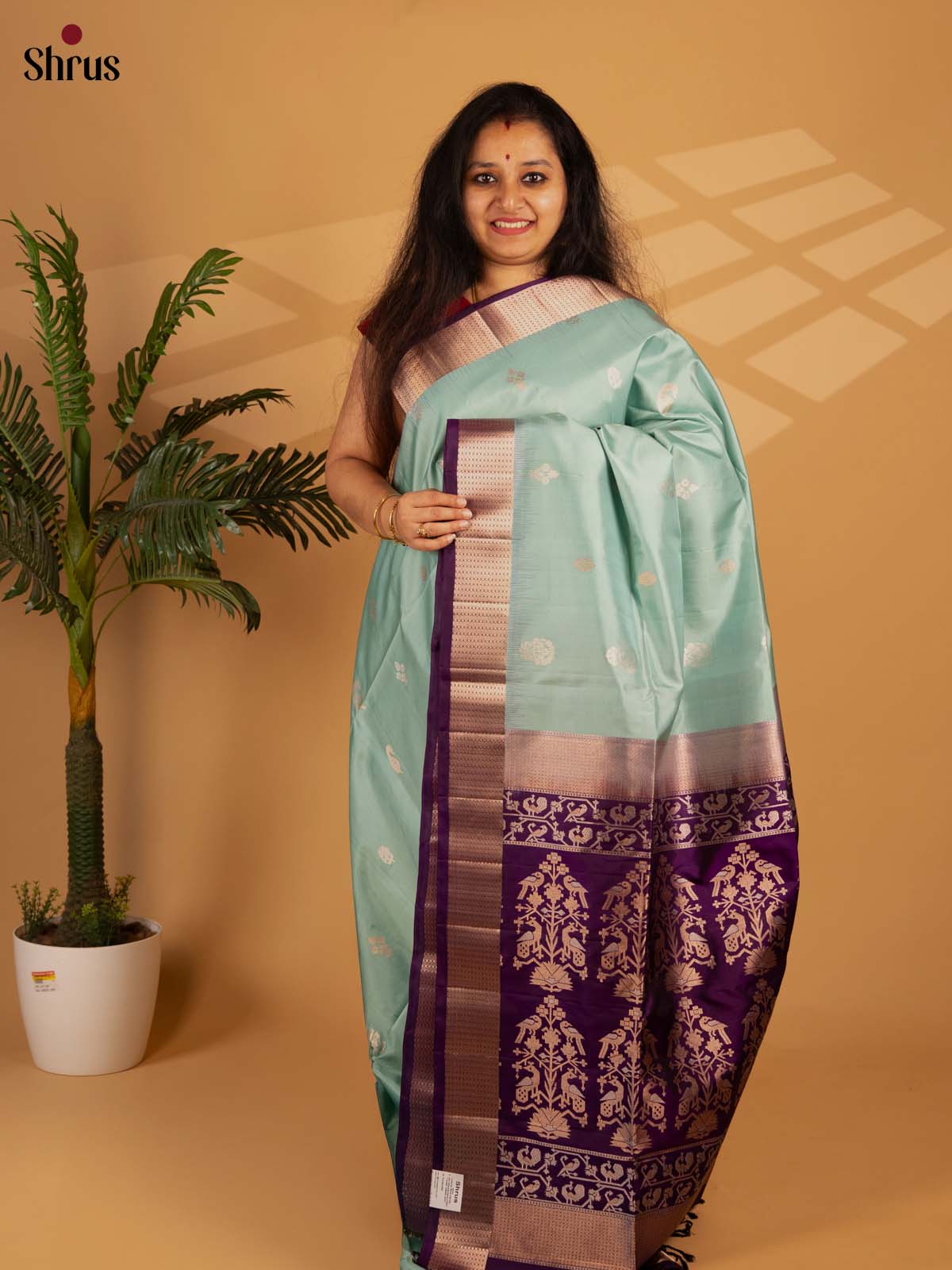 Ice Green & Violet- Soft Silk Saree - Shop on Shrus.com