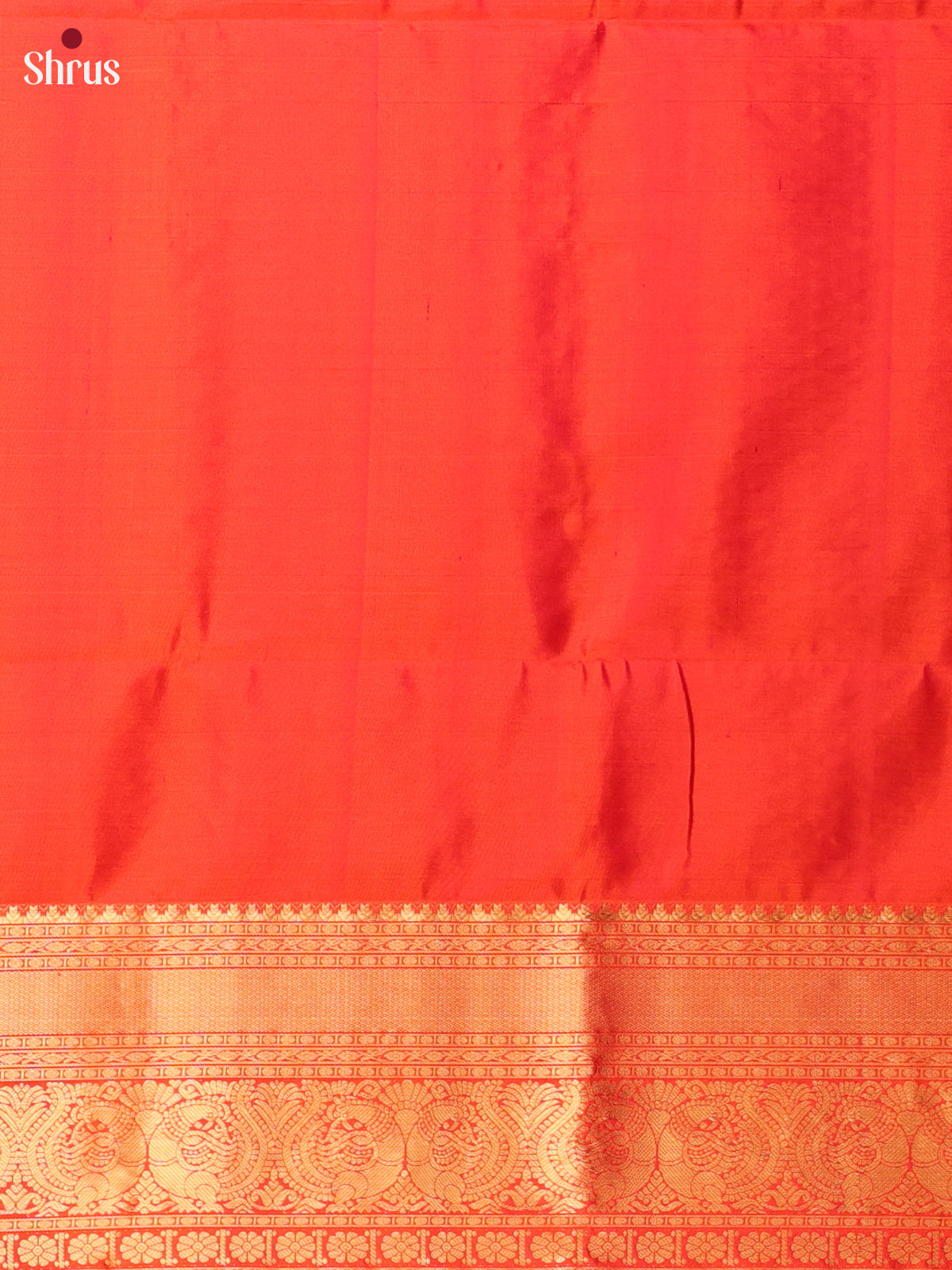Chic Red Soft Silk Saree with Zari Floral Jacquard, Striking Zari Border & Brocade Pallu-2