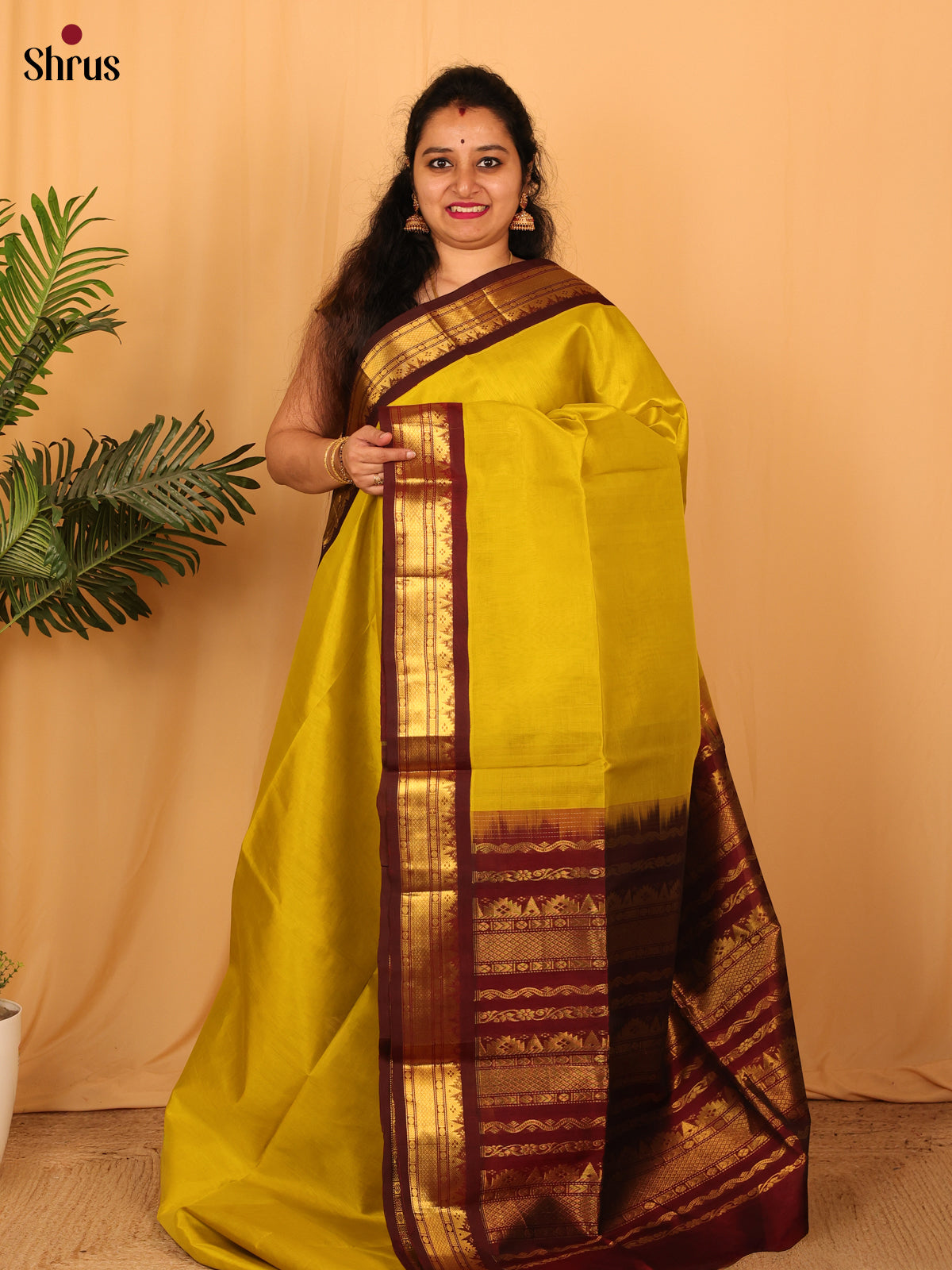 Mustardy Green & Brown - Silk Cotton Saree - Shop on Shrus.com