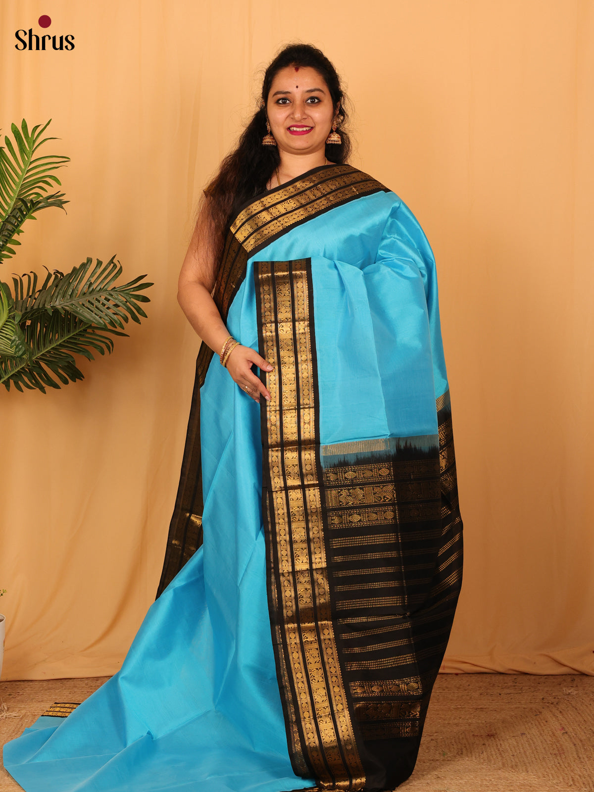Blue & Black - Silk Cotton Saree - Shop on Shrus.com