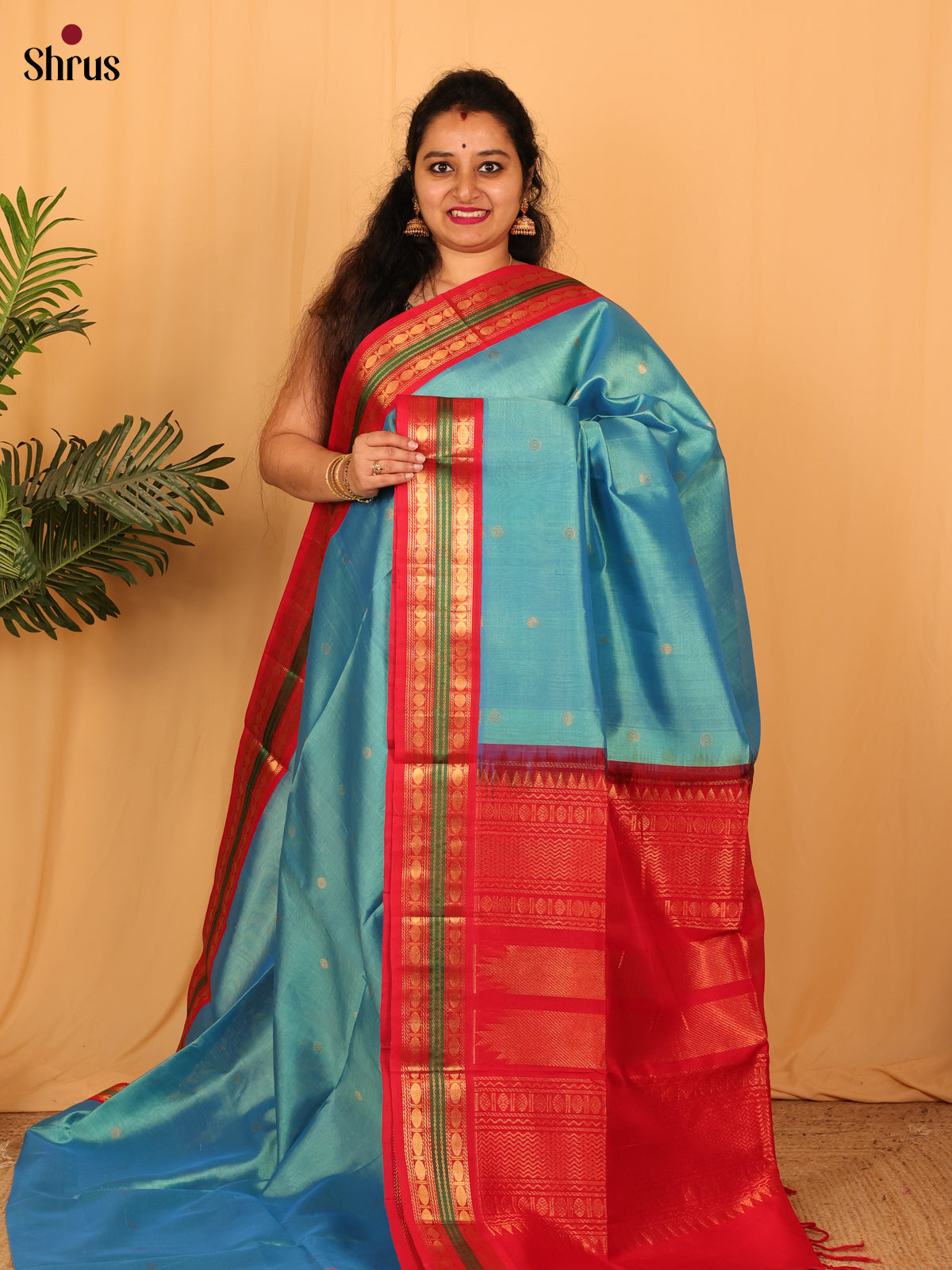 Blue & Red - Silk Cotton Saree - Shop on Shrus.com