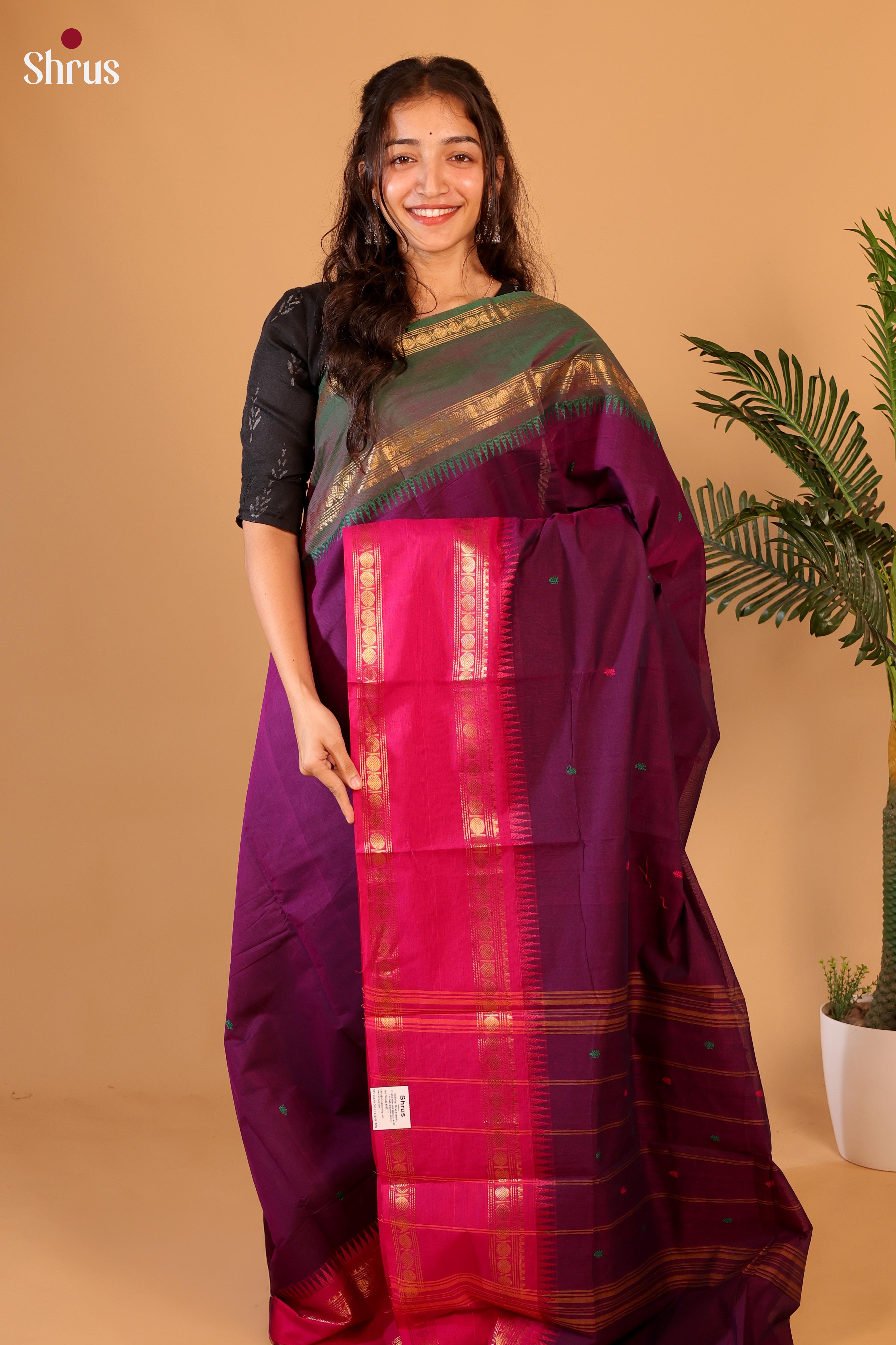 Violet & Pink - Chettinad Cotton Saree - Shop on Shrus.com