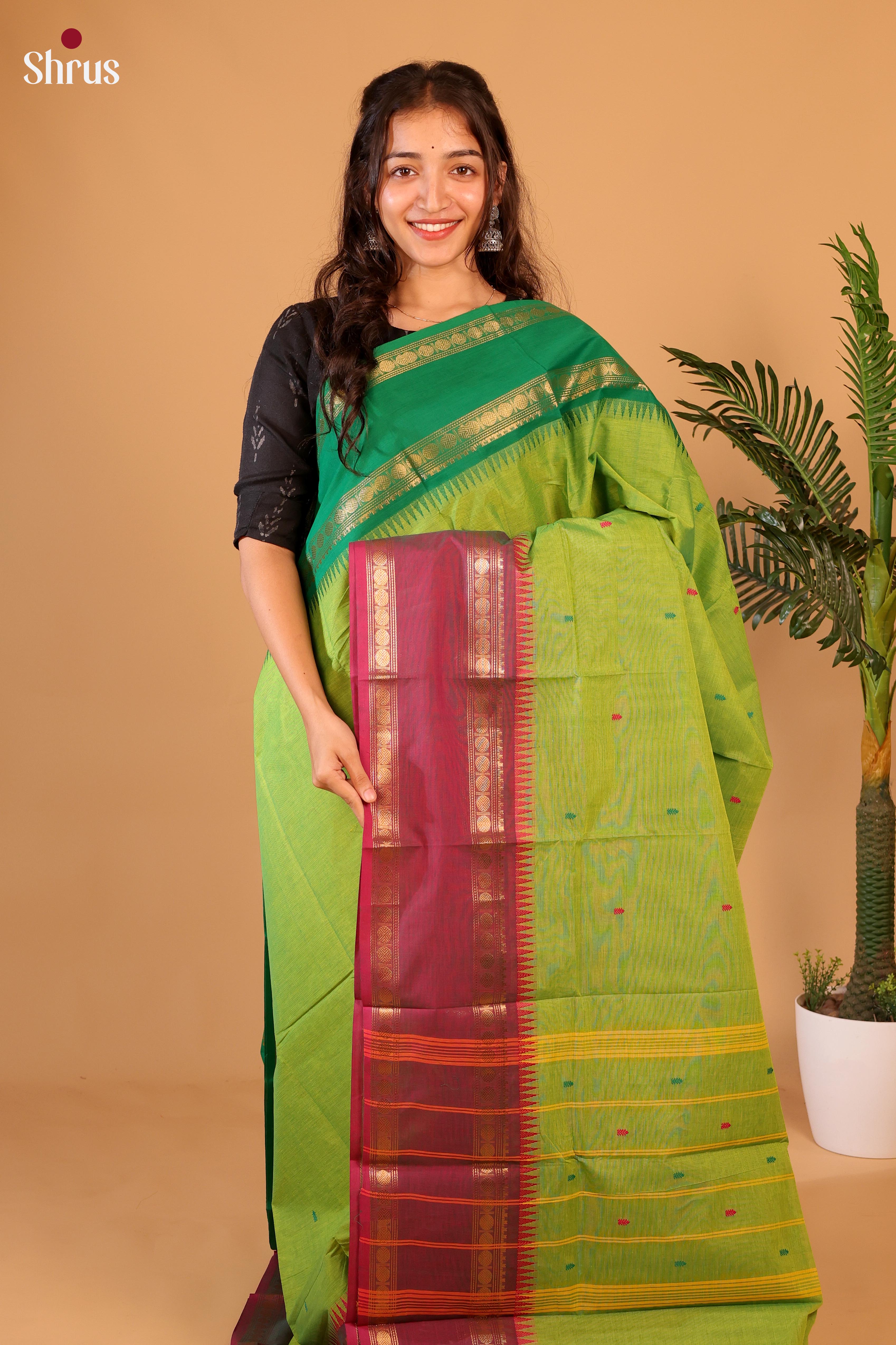 Parrot Green & Maroon - Chettinad Cotton Saree - Shop on Shrus.com