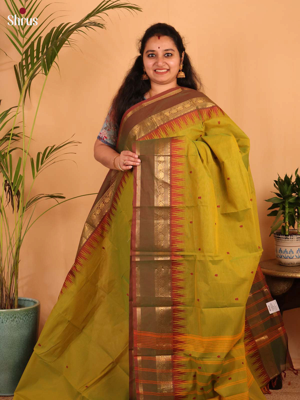 Green & Brown - Chettinad Cotton Saree - Shop on Shrus.com