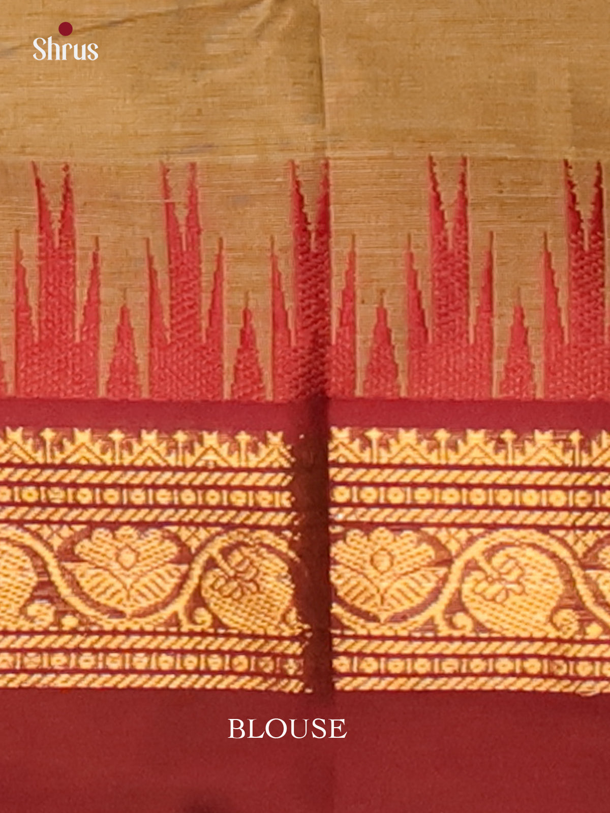 Green & Brown - Chettinad Cotton Saree - Shop on Shrus.com