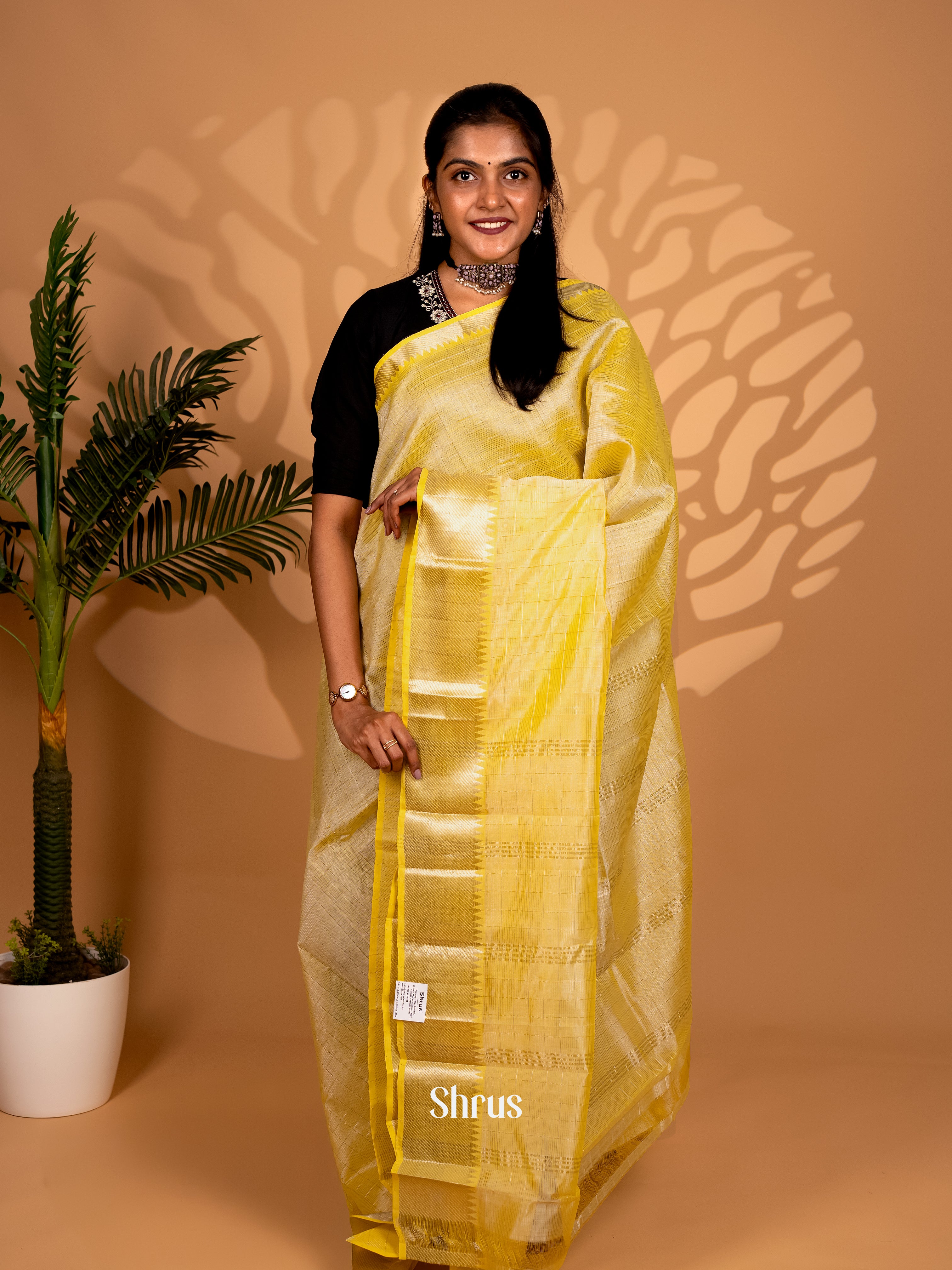 CKS25036 - Mangalagiri silkcotton Saree - Shop on Shrus.com
