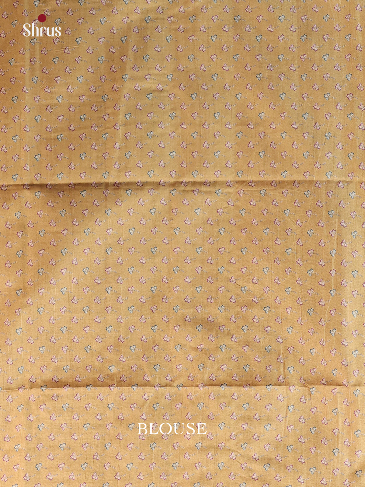 Beige - Printed Tussar Saree - Shop on Shrus.com