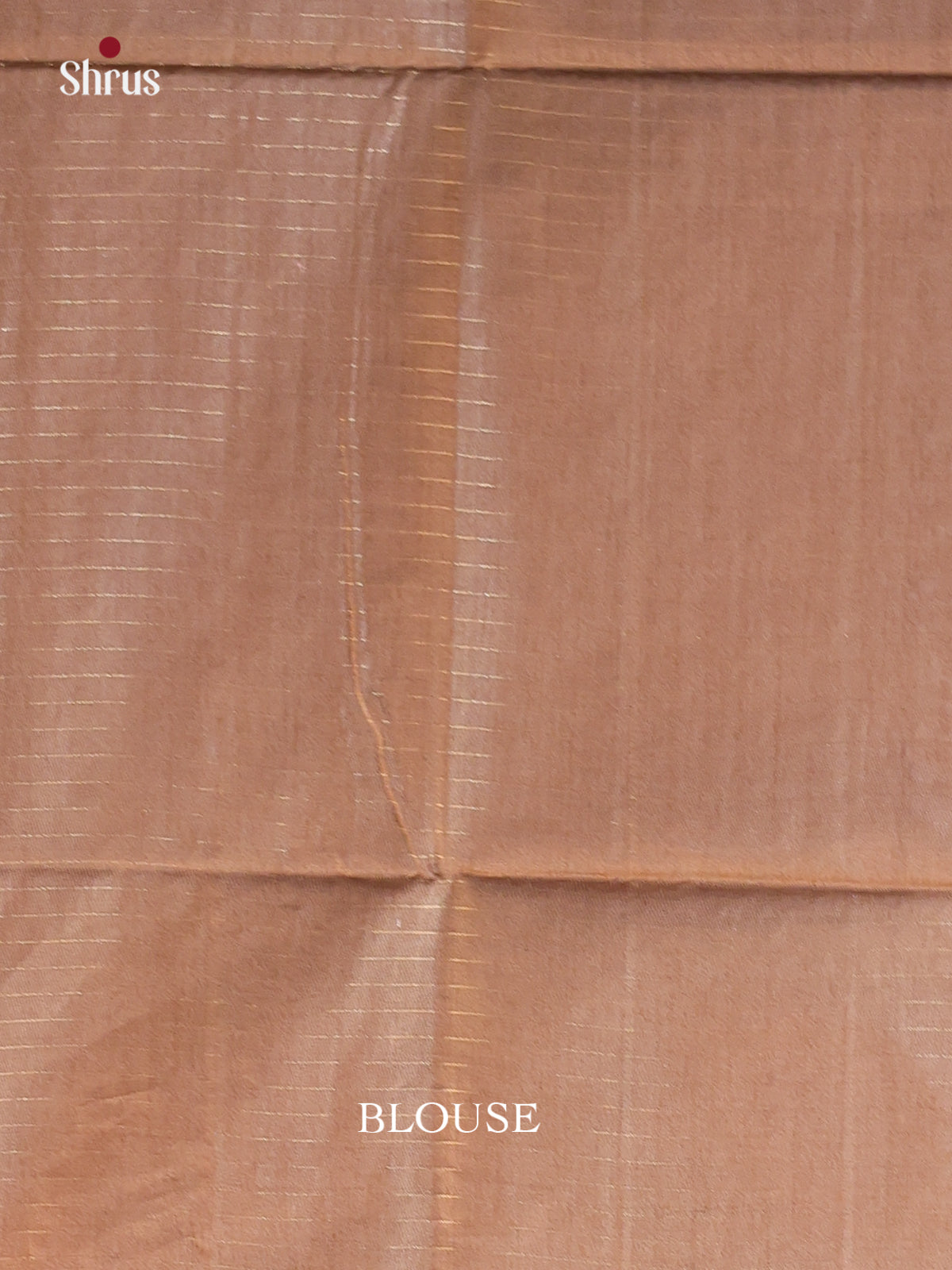 Lite Brown - Semi Tussar Saree - Shop on Shrus.com