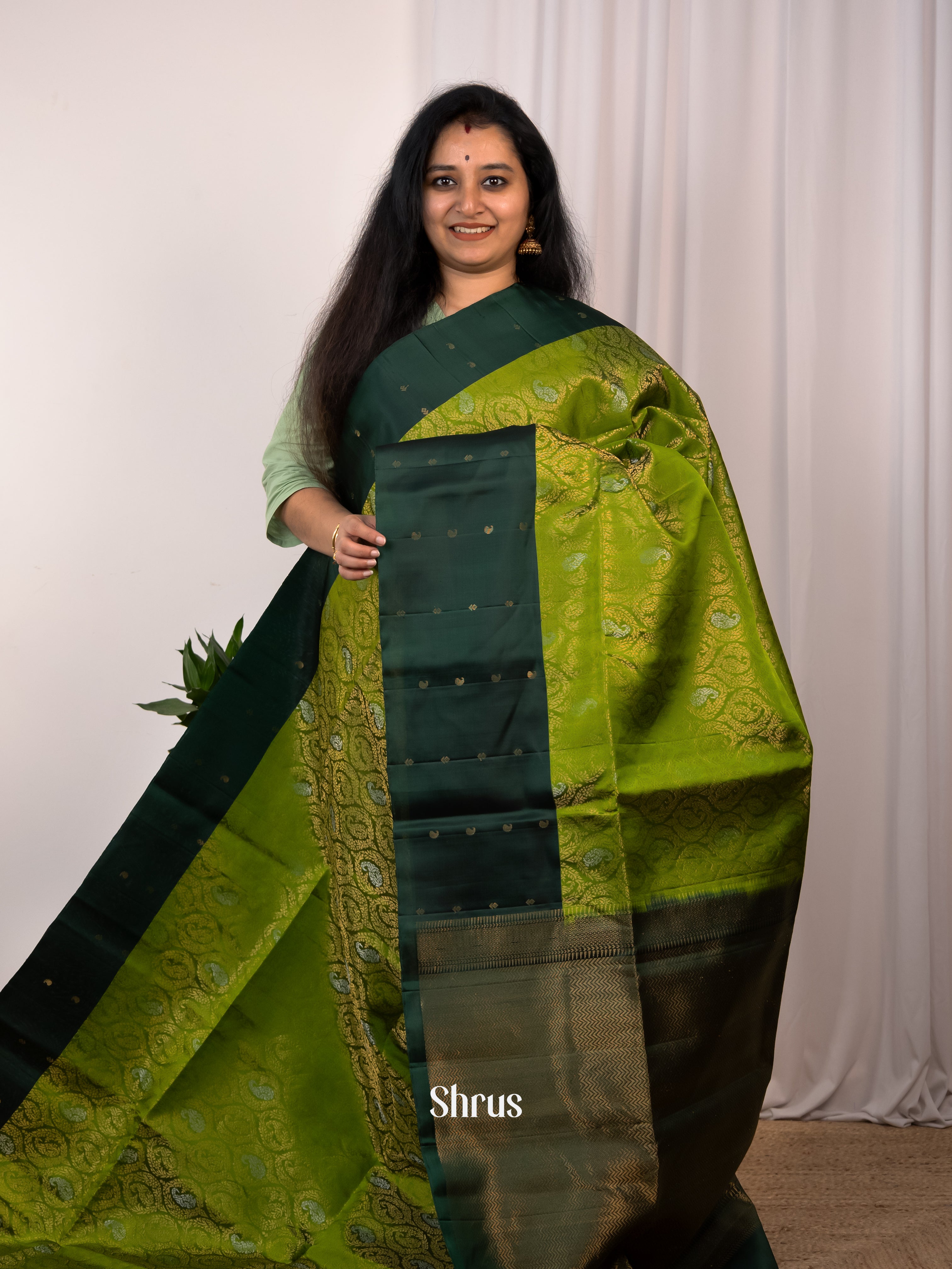 Parrot Green & Green - Soft Silk Saree - Shop on Shrus.com