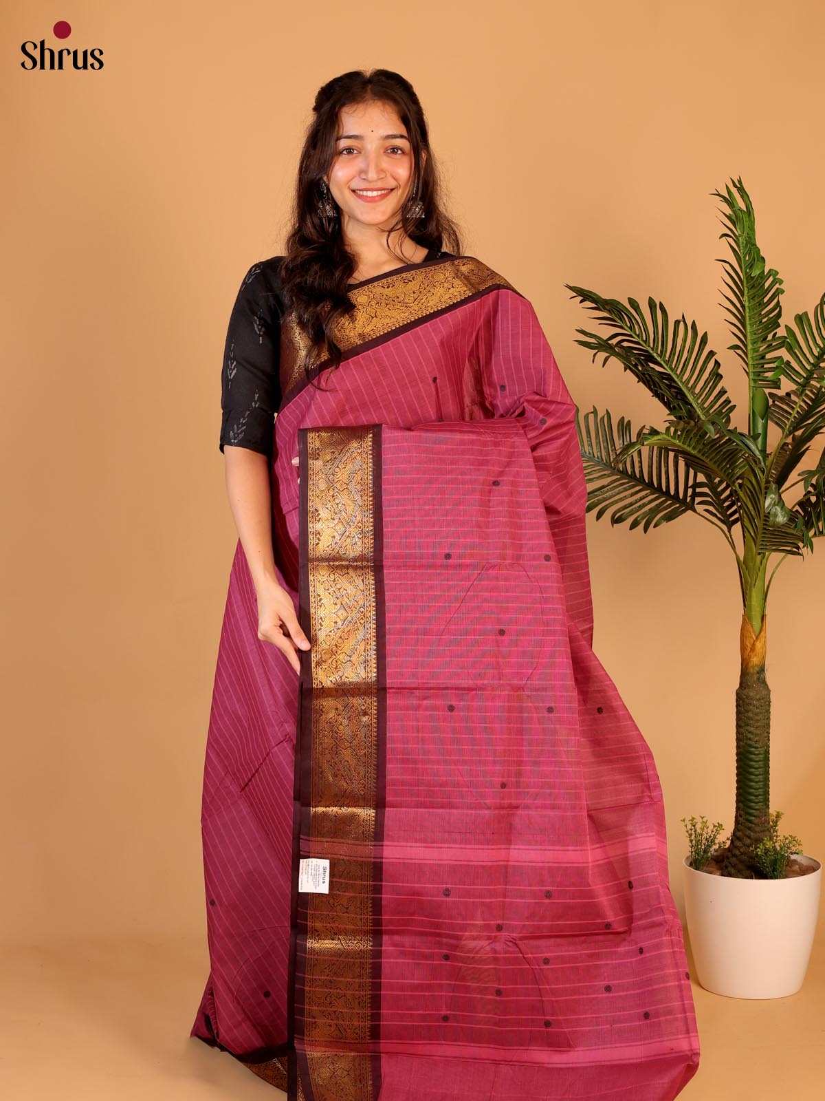 Pink & Brown - Chettinad Cotton Saree - Shop on Shrus.com