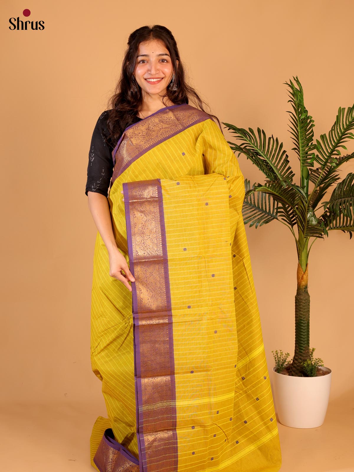 Lite Green & Purple- Chettinad Cotton Saree - Shop on Shrus.com