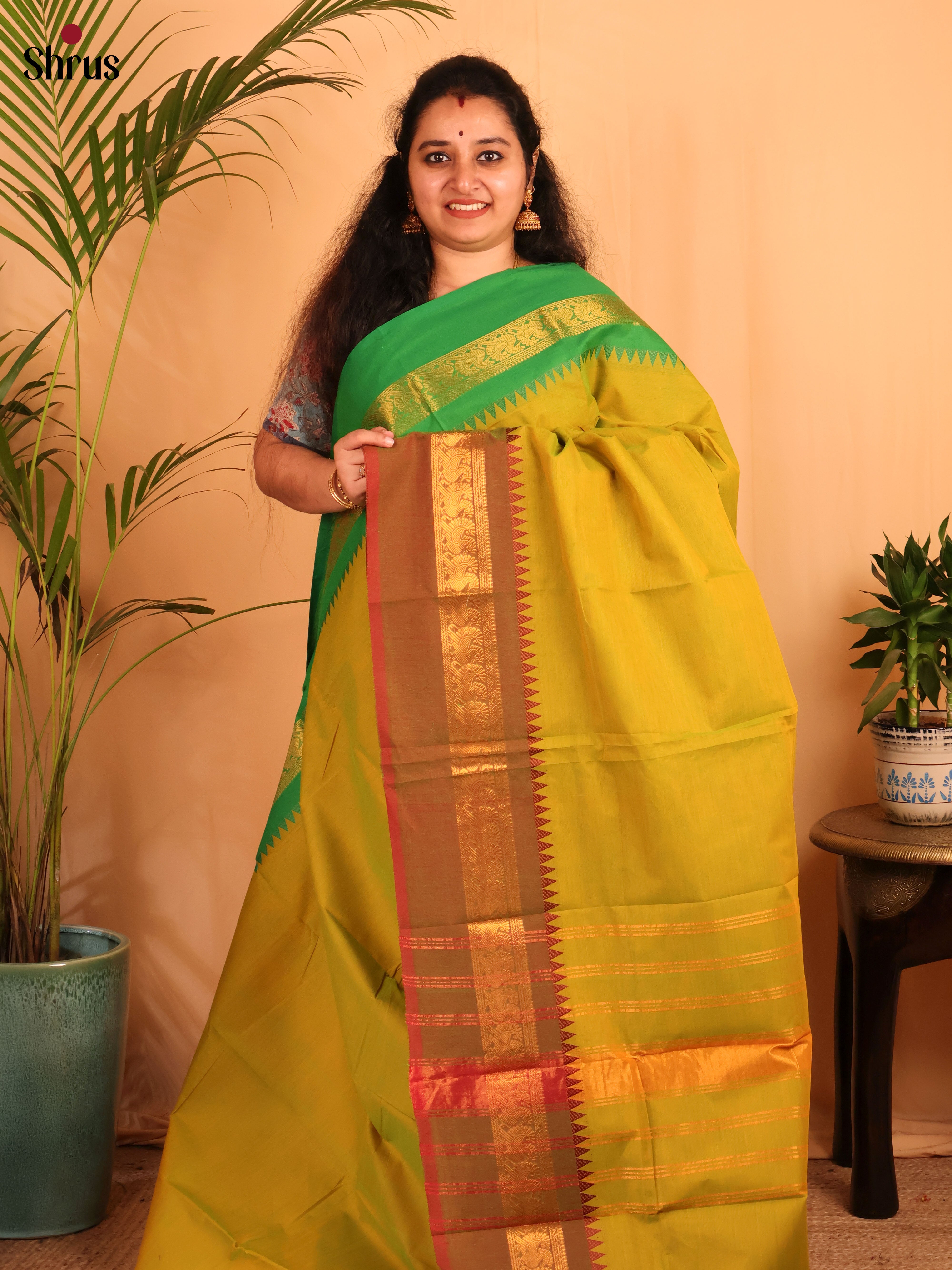 Green & Brown - Chettinad Cotton Saree - Shop on Shrus.com