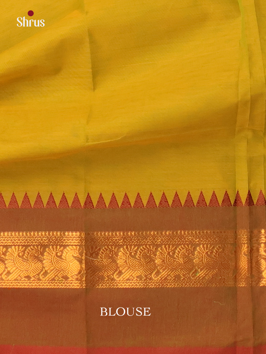 Green & Brown - Chettinad Cotton Saree - Shop on Shrus.com