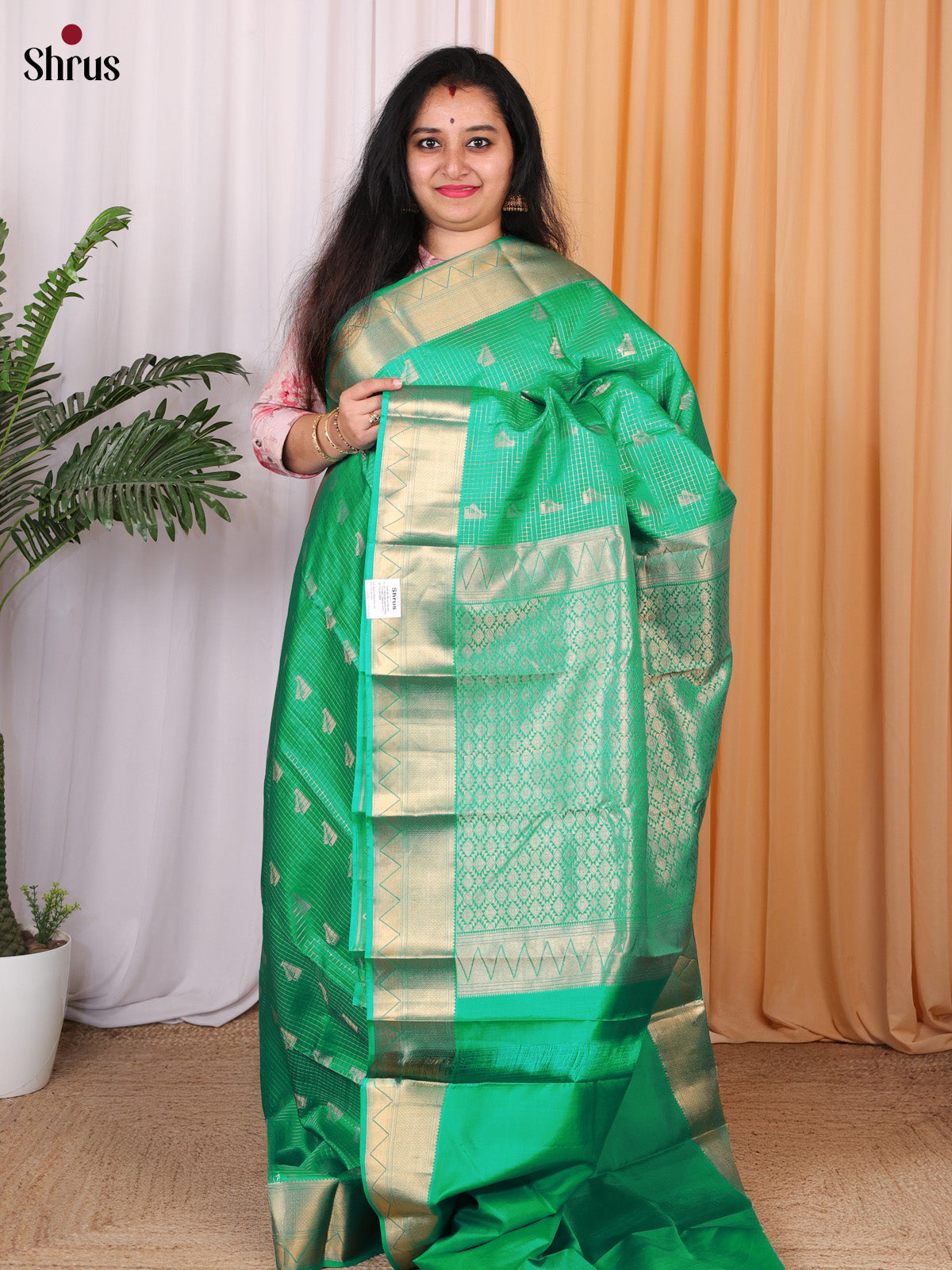 Green(Single Tone) - Kanchipuram silk Saree - Shop on Shrus.com