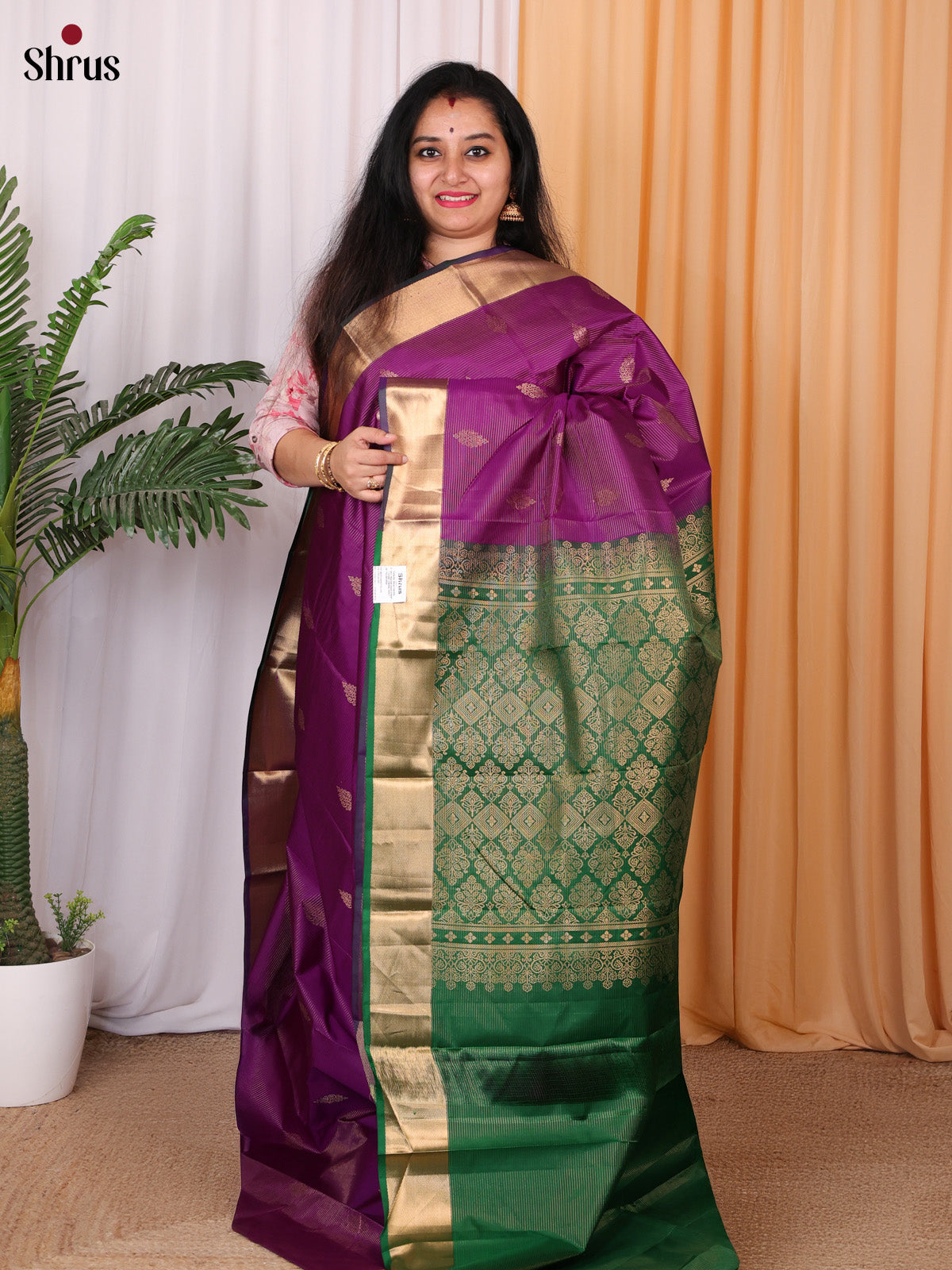 CKS29101 - Kanchipuram silk Saree - Shop on Shrus.com