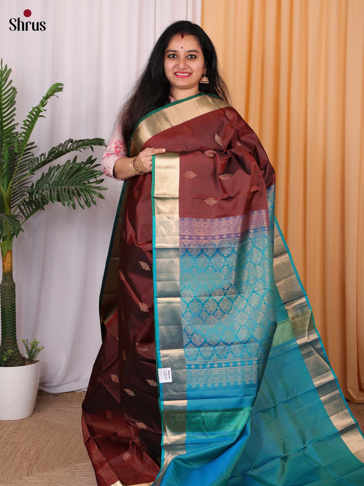 Brown & Green- Kanchipuram silk Saree - Shop on Shrus.com