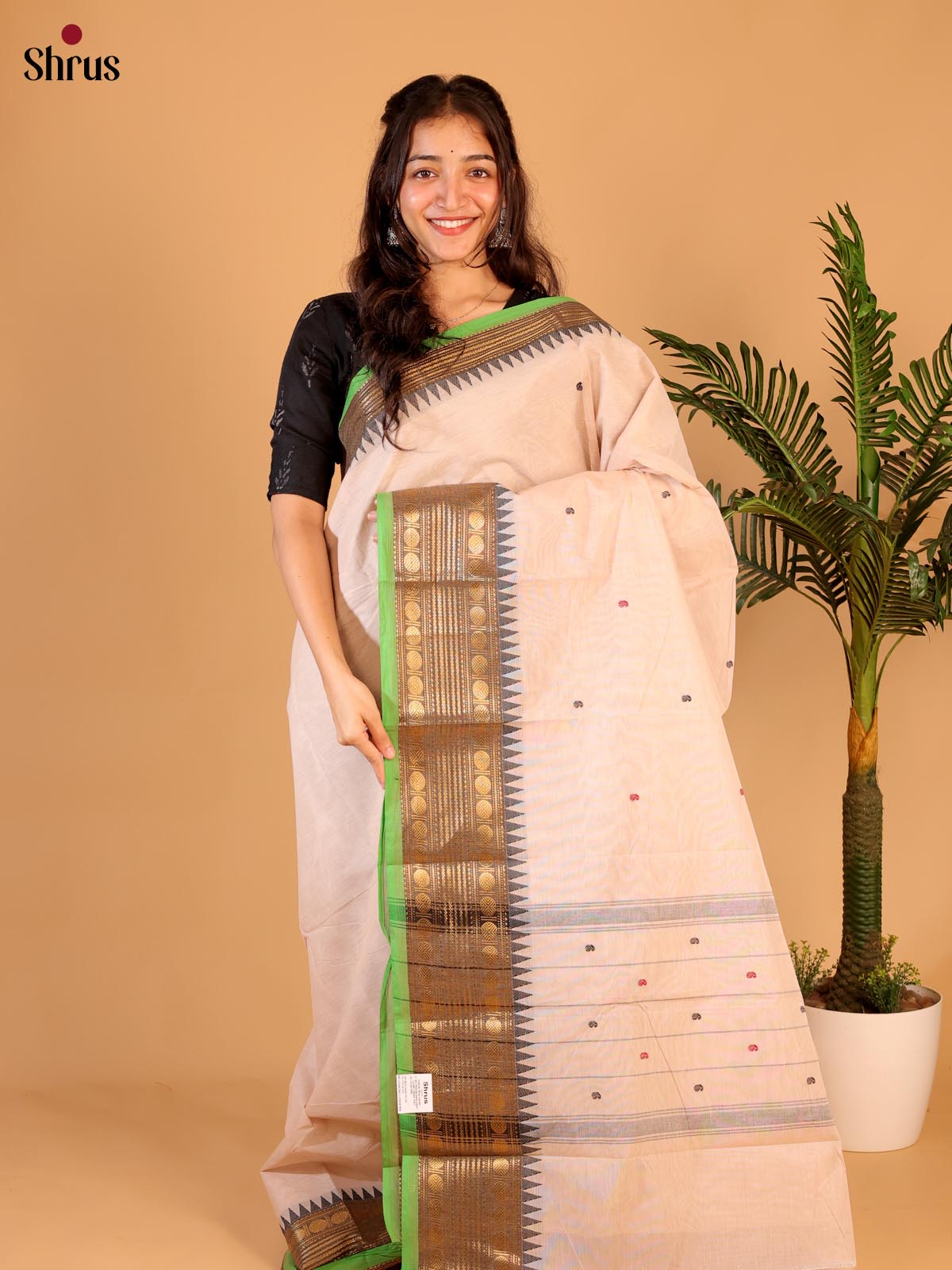 Cream & Green - Chettinad Cotton Saree - Shop on Shrus.com