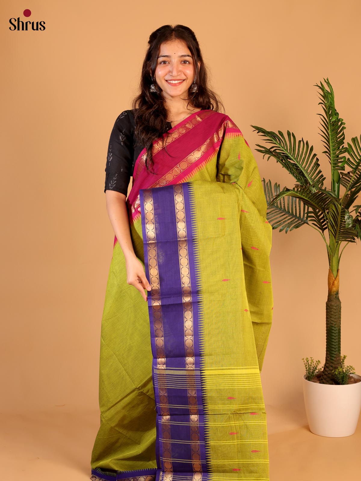 Green & Violet - Chettinad Cotton Saree - Shop on Shrus.com