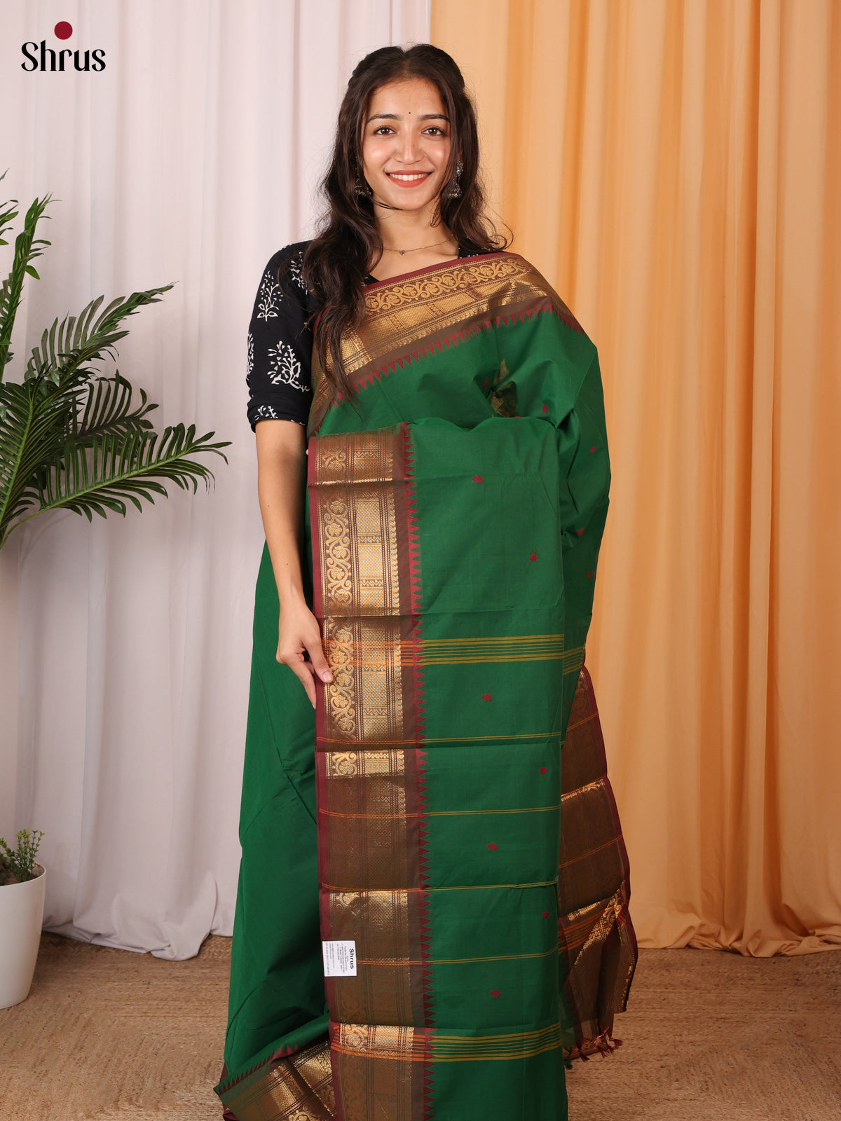 Green & Brown - Chettinad Cotton Saree - Shop on Shrus.com