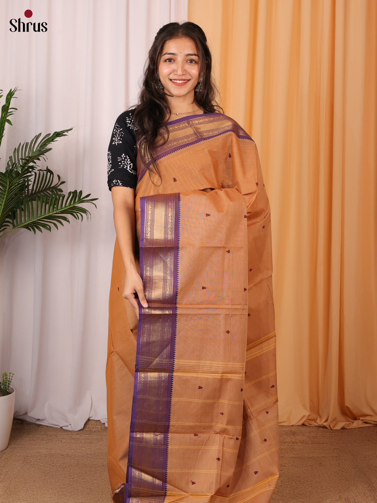 Lite Brown & Purple - Chettinad Cotton Saree - Shop on Shrus.com