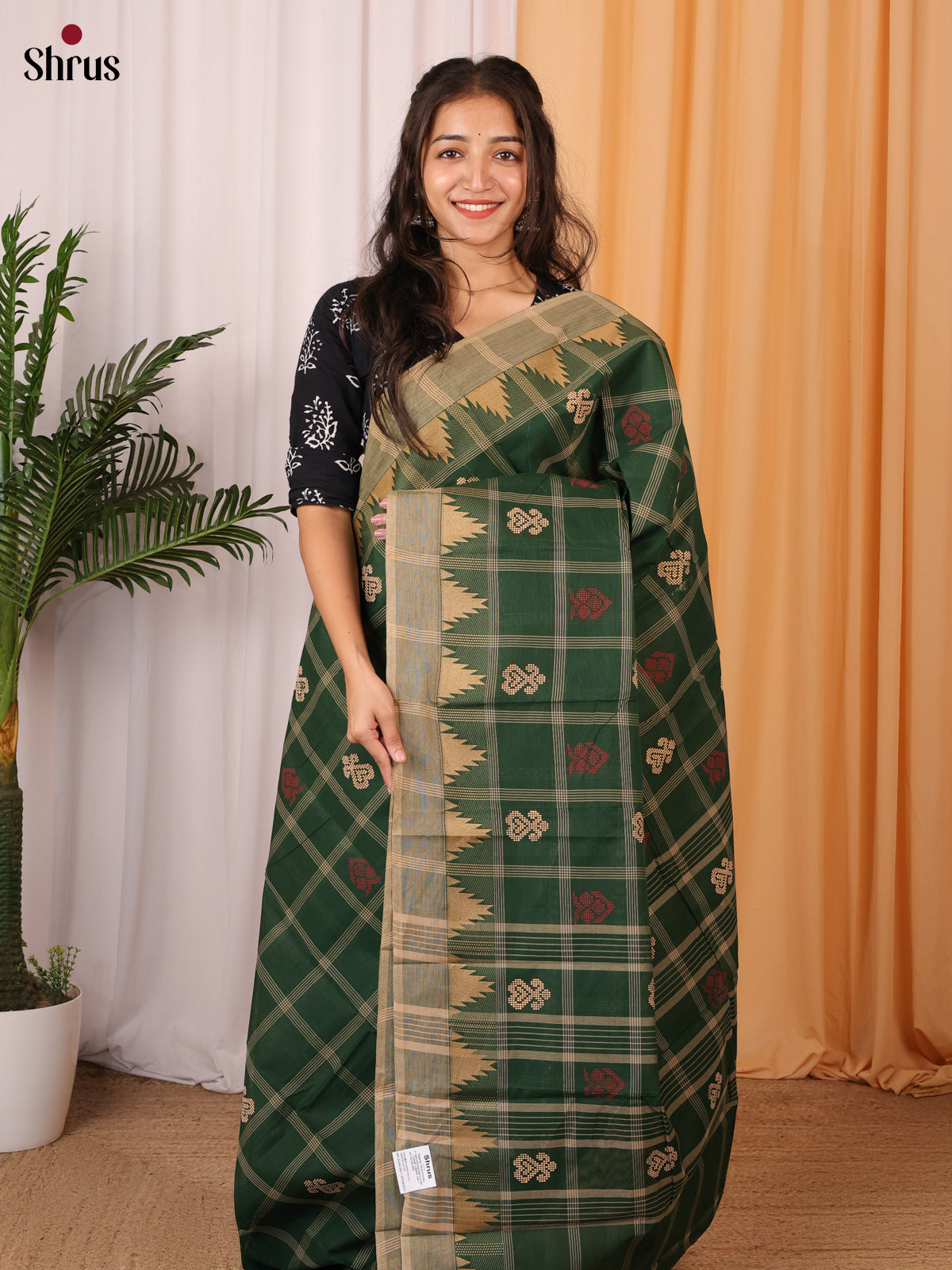 Green & Grey - Chettinad Cotton Saree - Shop on Shrus.com