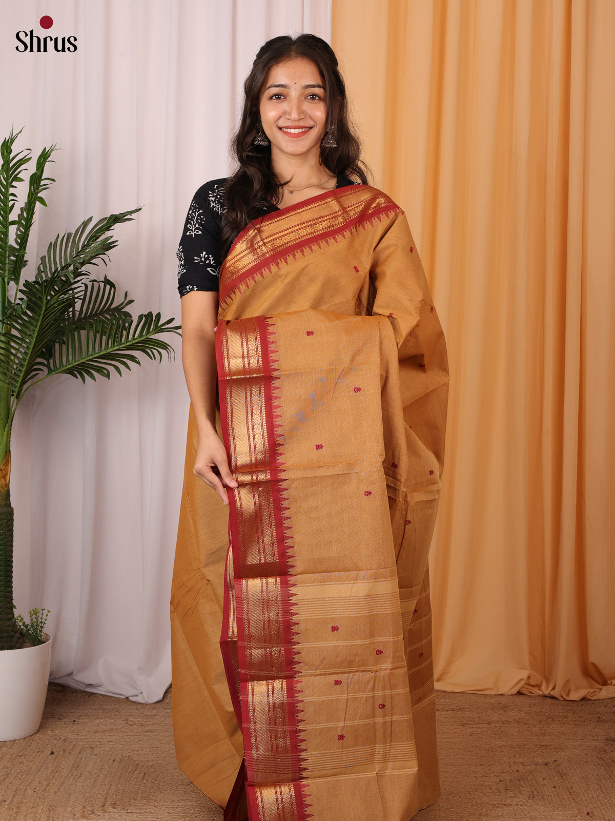 Brown & Red - Chettinad Cotton Saree - Shop on Shrus.com