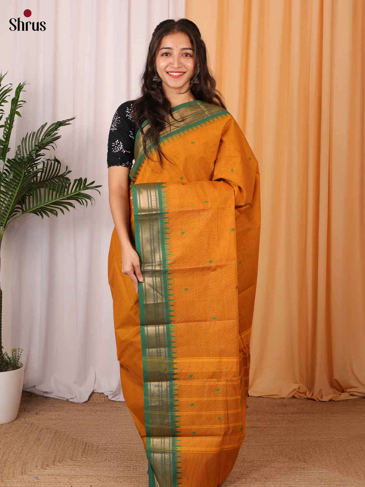 Mustard & Green - Chettinad Cotton Saree - Shop on Shrus.com