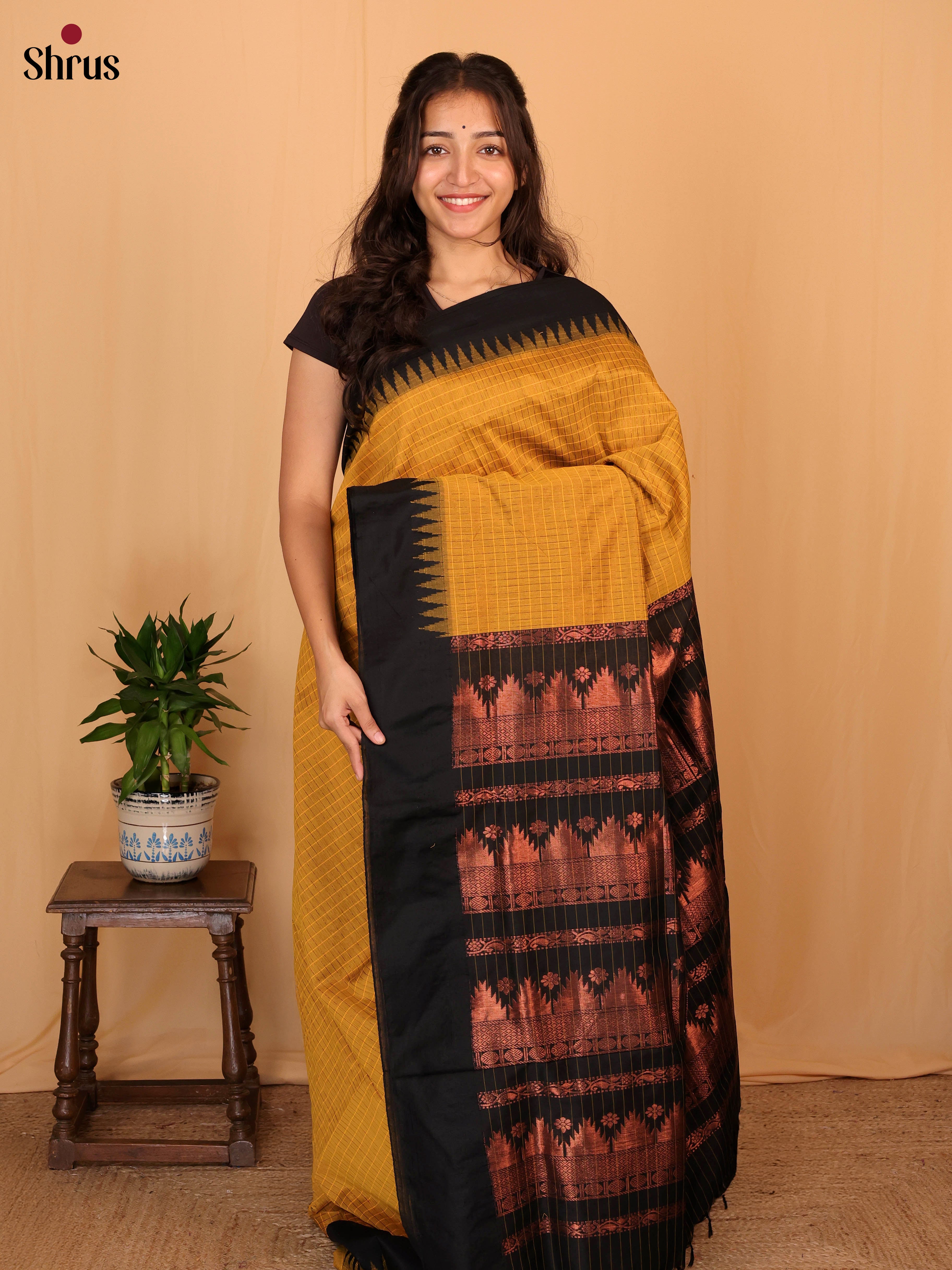 Mustard & Black - Kalyani Cotton Saree - Shop on Shrus.com