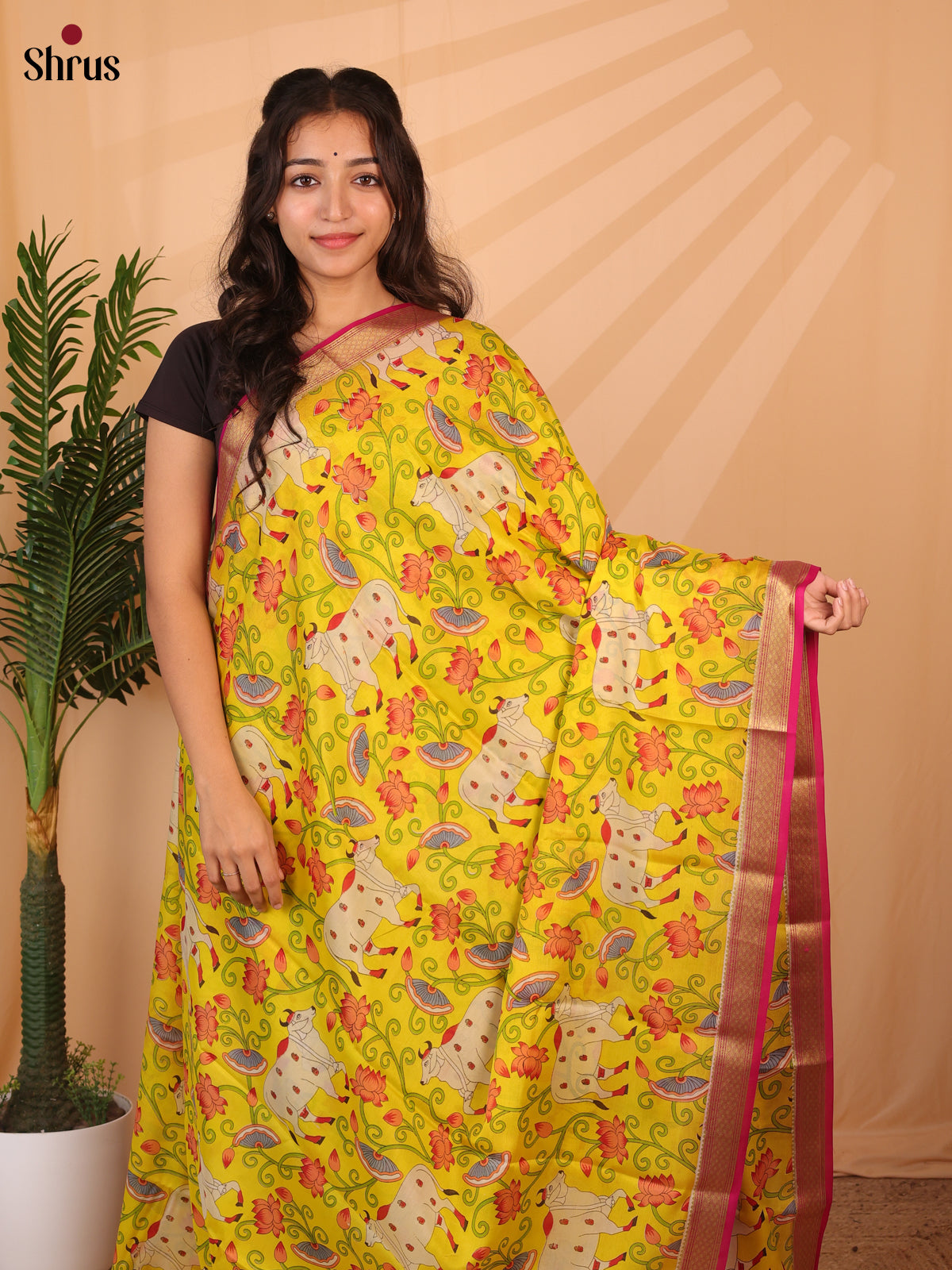 Yellow & Maroon- Mysore Silk Saree - Shop on Shrus.com