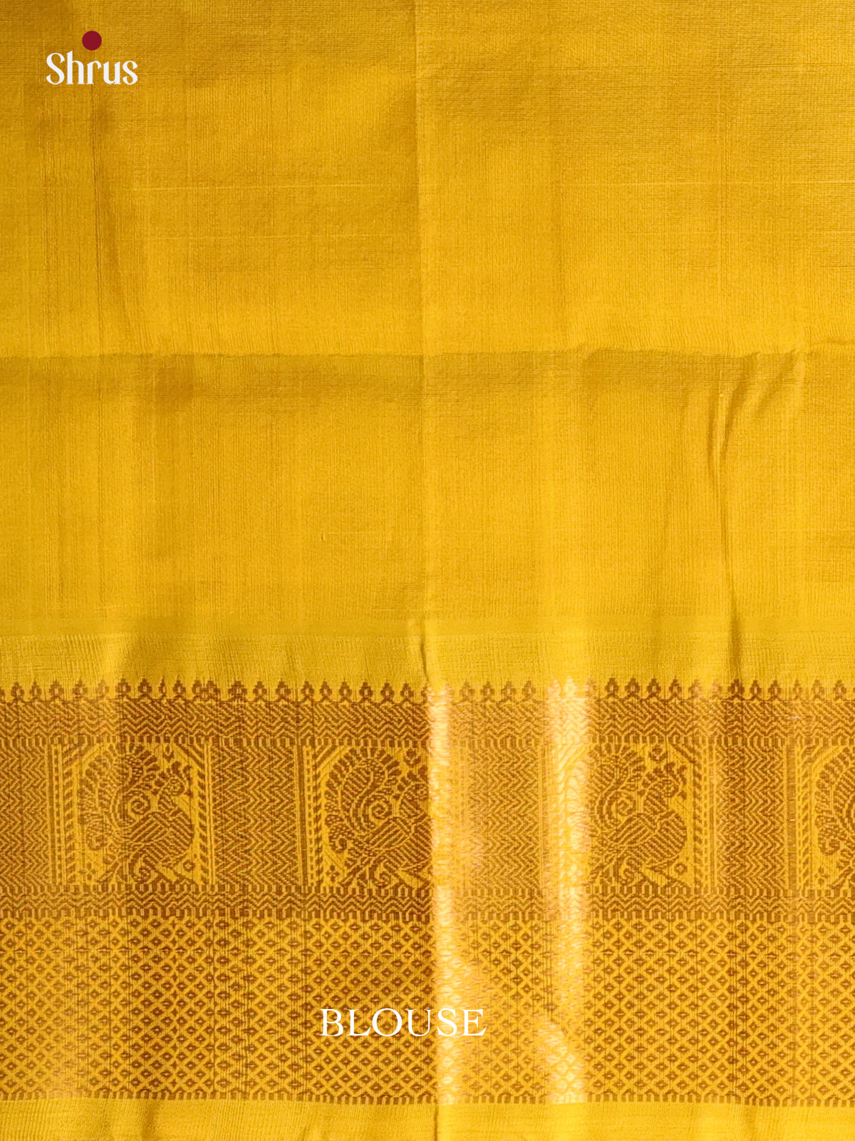 Cream & Mustard - Silk Cotton Saree - Shop on Shrus.com