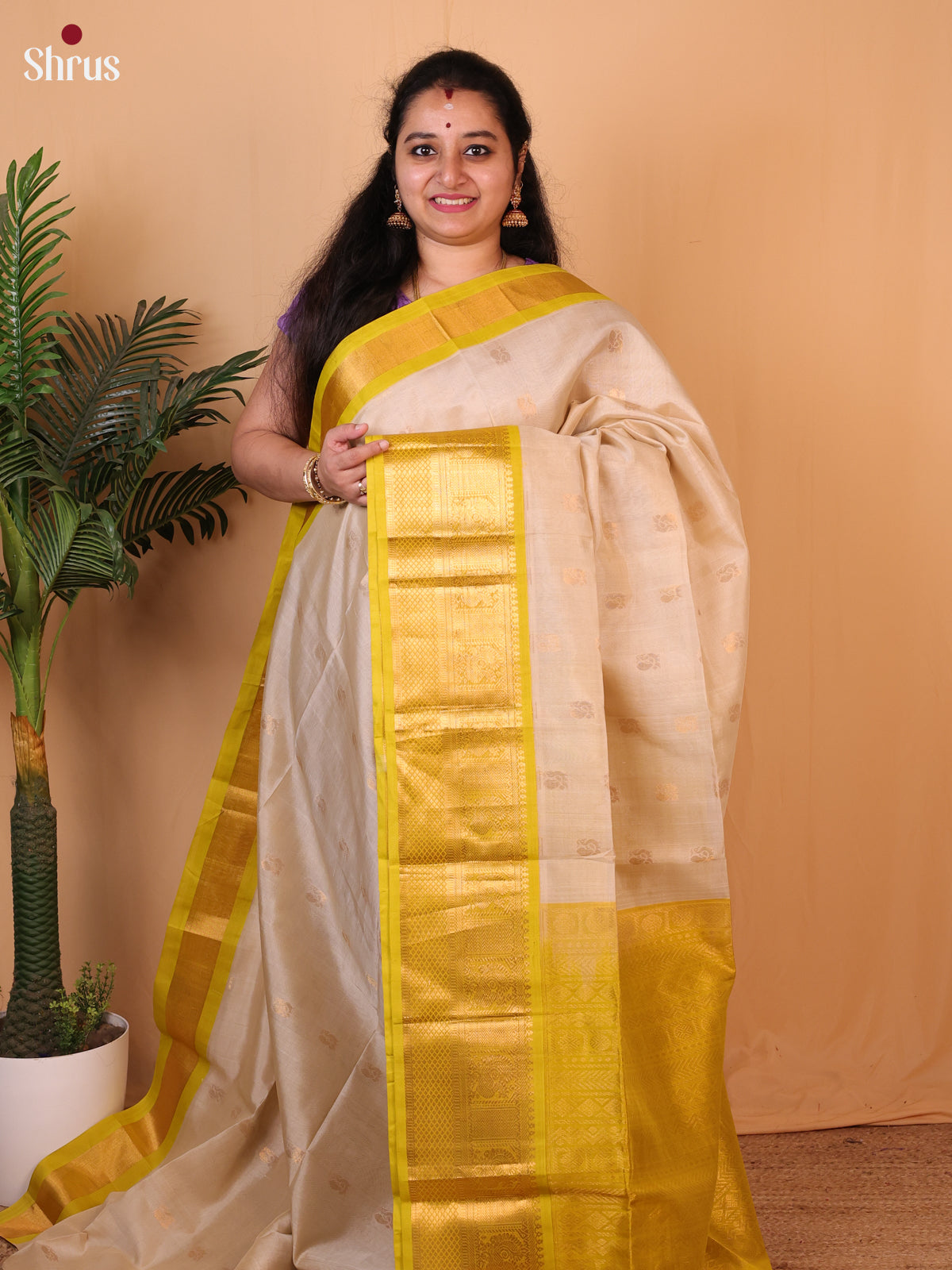 CLS09004 - Silk Cotton Saree - Shop on Shrus.com