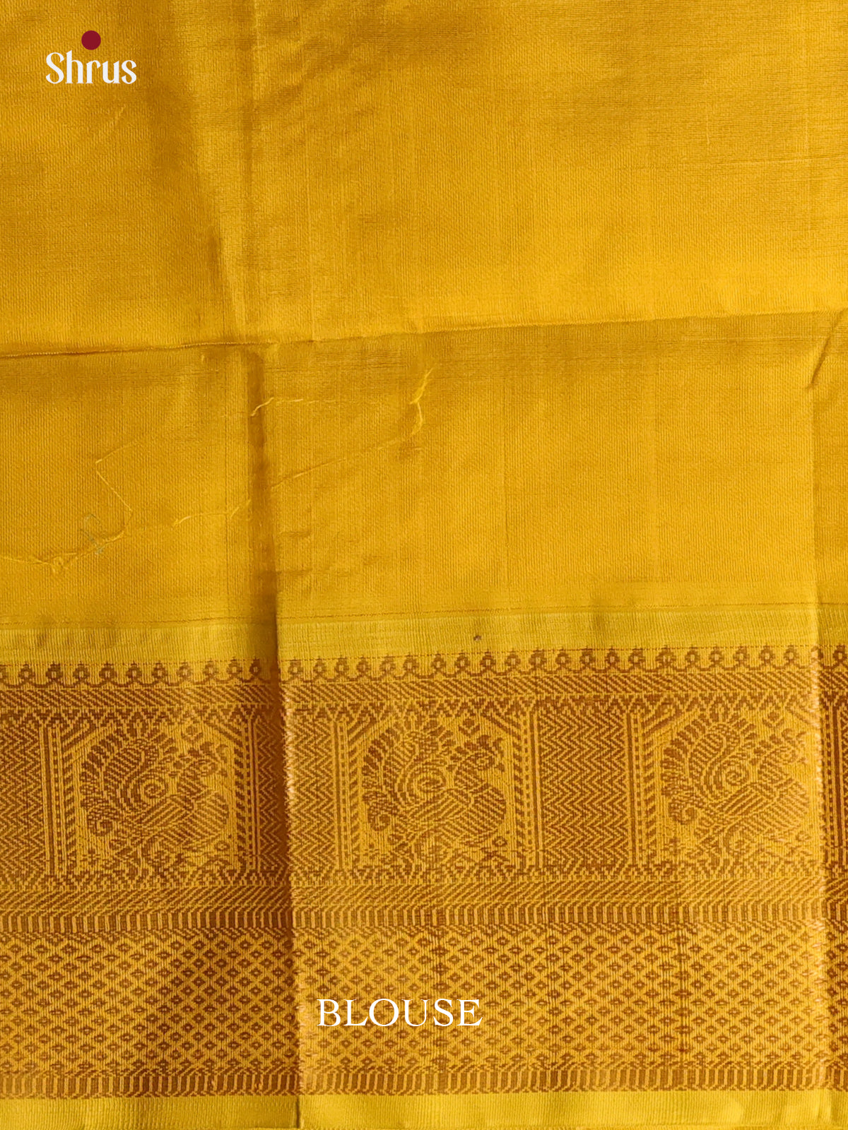 CLS09004 - Silk Cotton Saree - Shop on Shrus.com