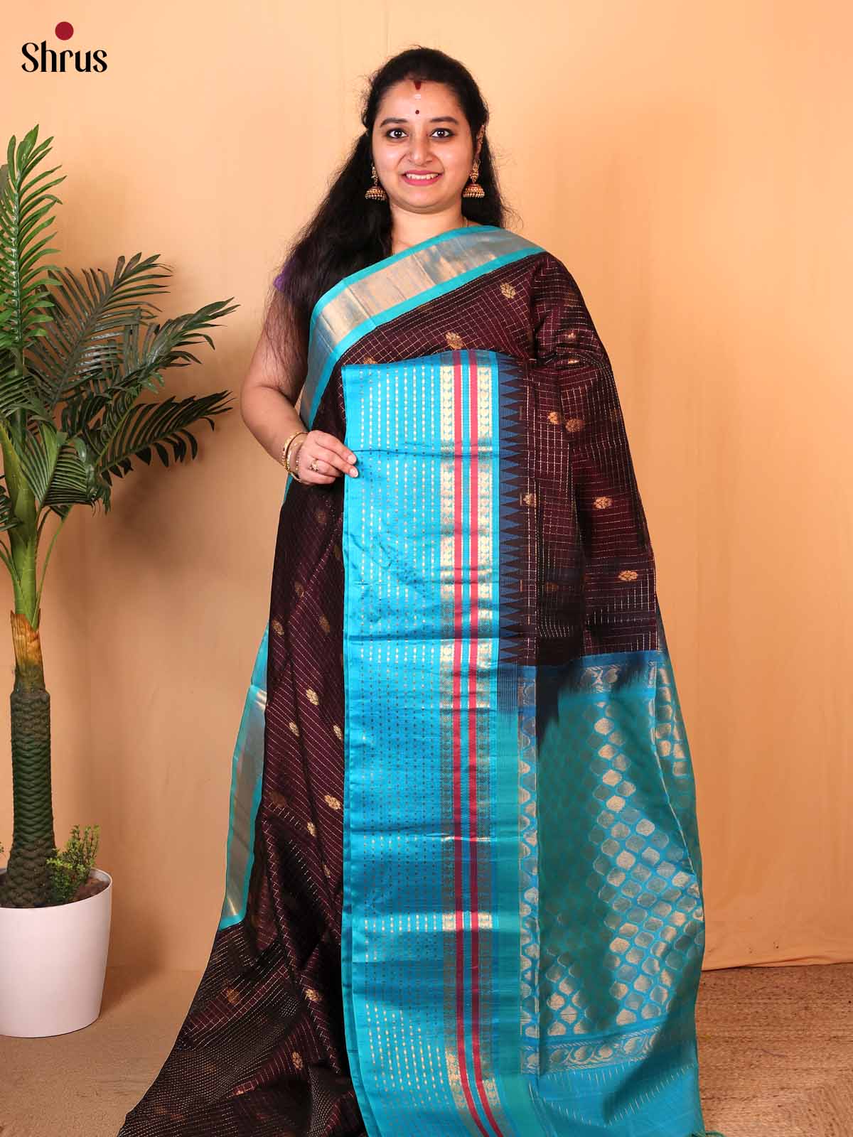 Brown & Teal - Silk Cotton Saree - Shop on Shrus.com