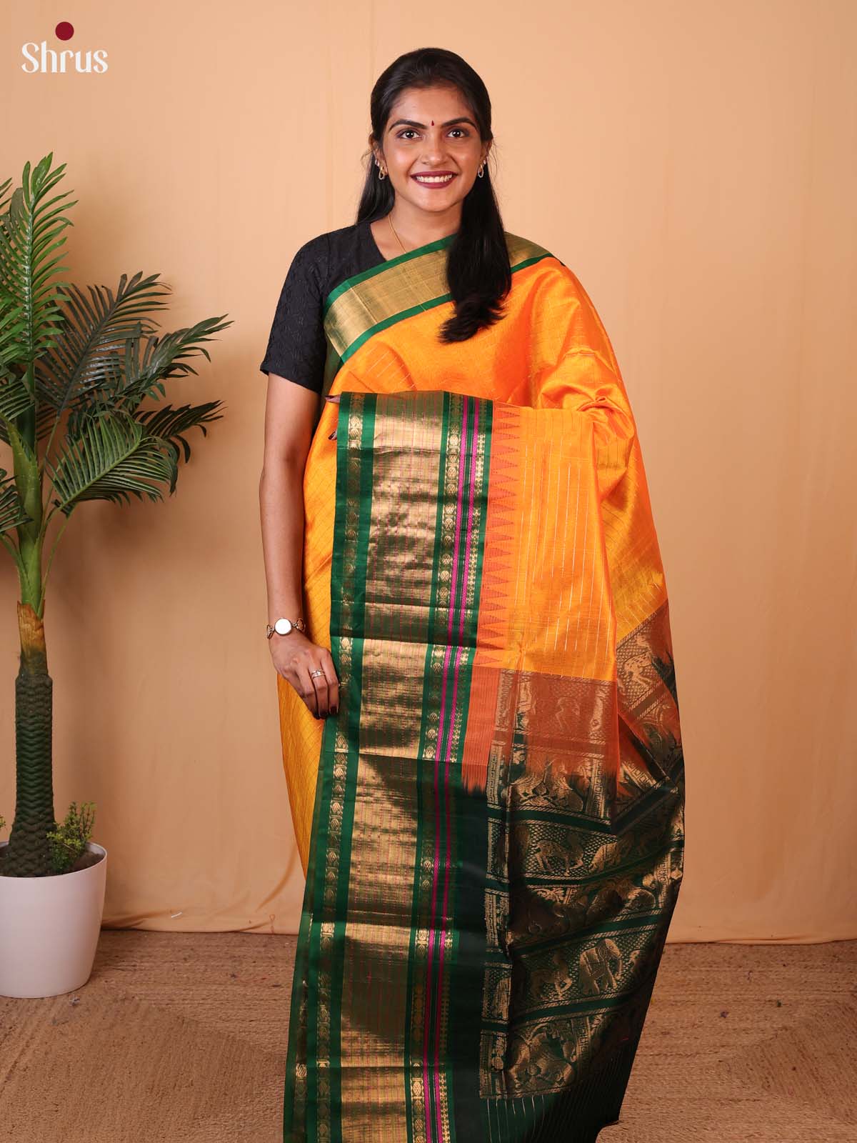 Mambazha Yellow & Green - Silk Cotton Saree - Shop on Shrus.com
