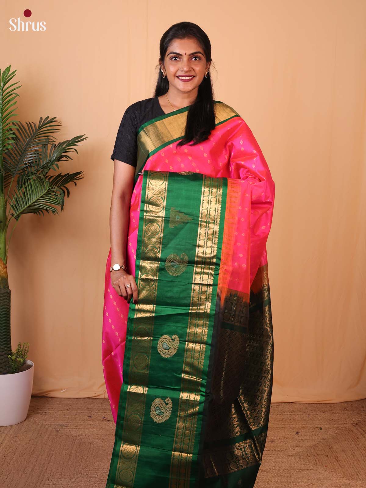 Pink & Green- Silk Cotton Saree - Shop on Shrus.com