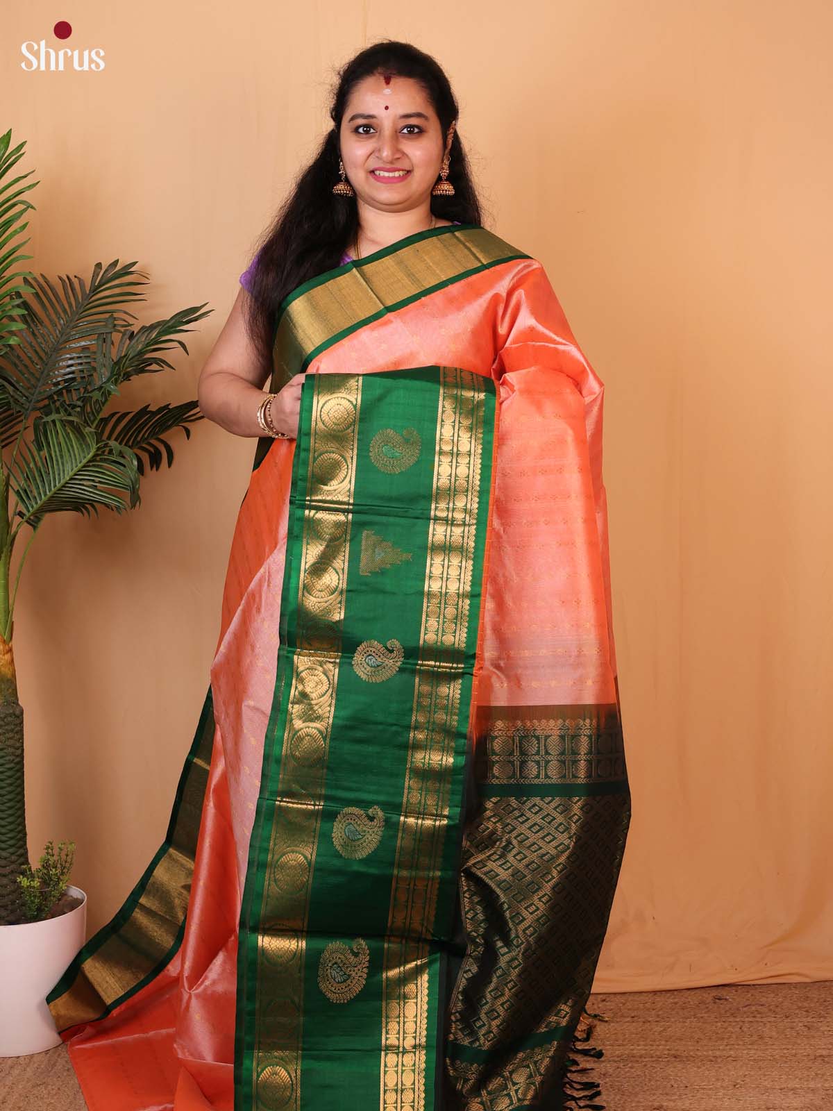 Peach & Green - Silk Cotton Saree - Shop on Shrus.com