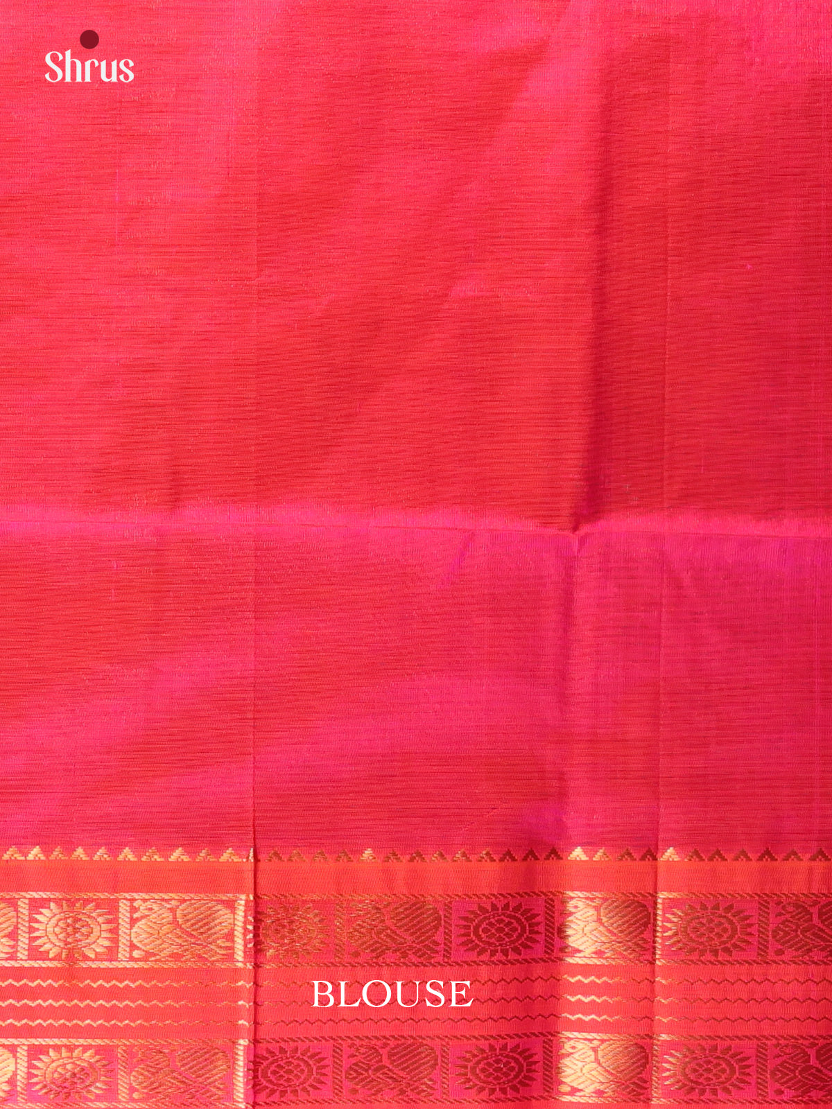 Violet - Silk Cotton Saree - Shop on Shrus.com