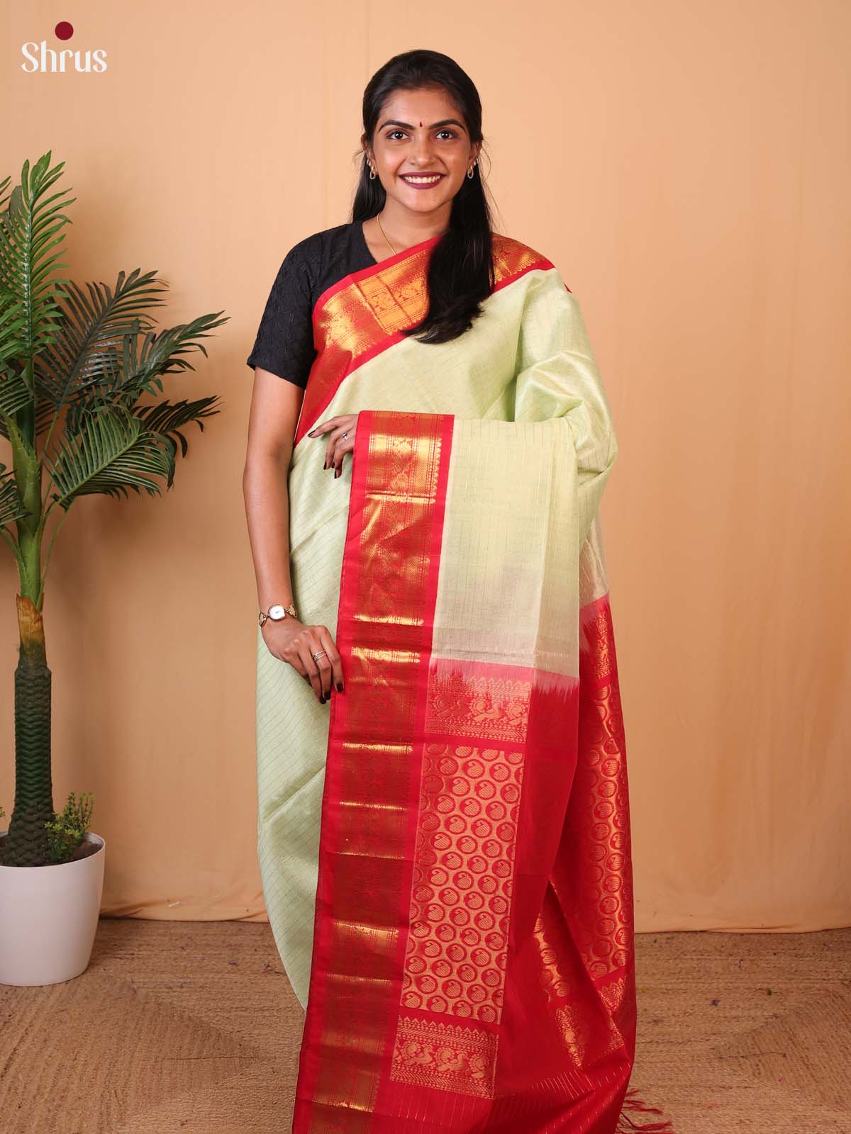 Mint Green & Red - Silk Cotton Saree - Shop on Shrus.com