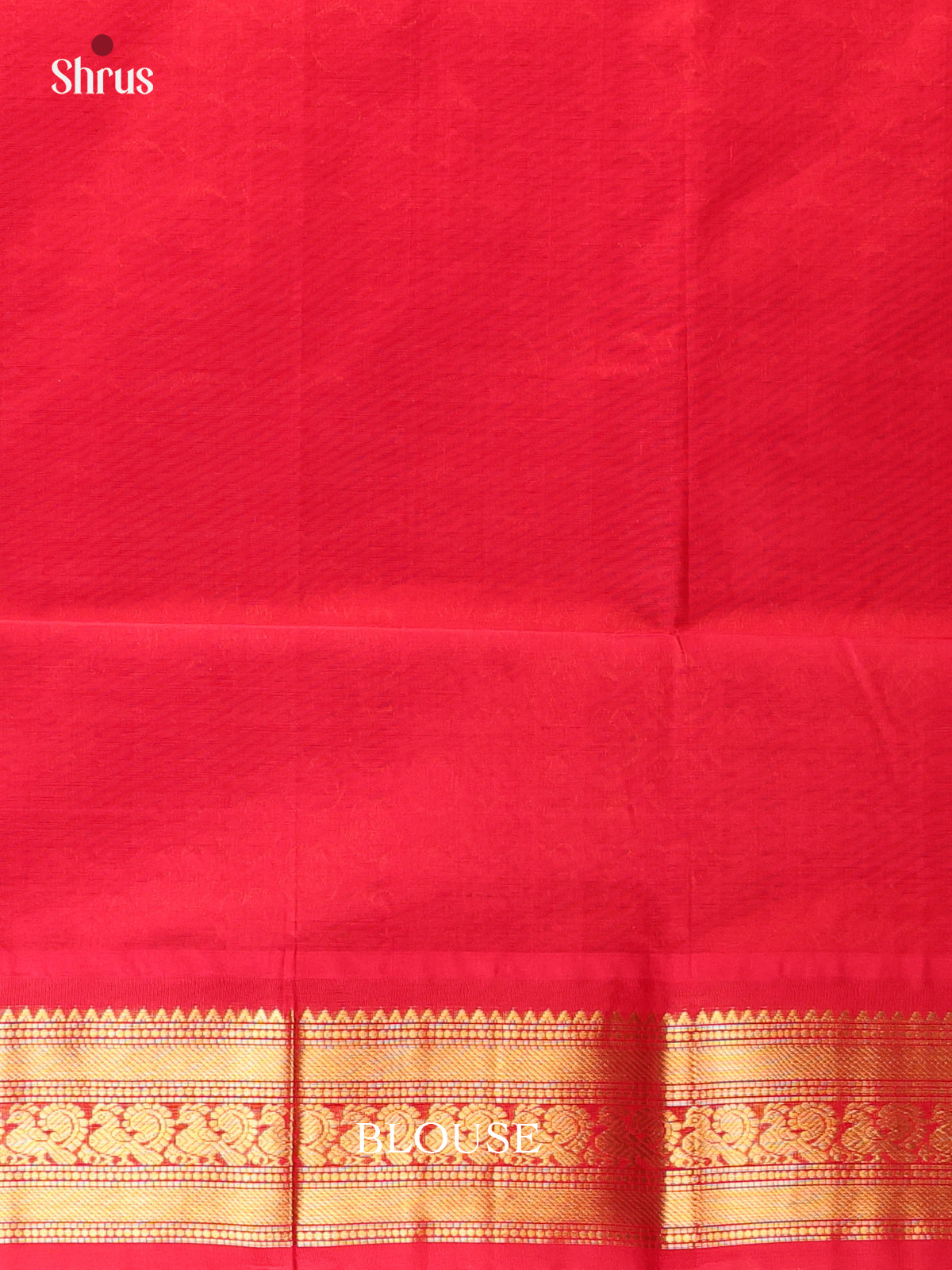 Mint Green & Red - Silk Cotton Saree - Shop on Shrus.com
