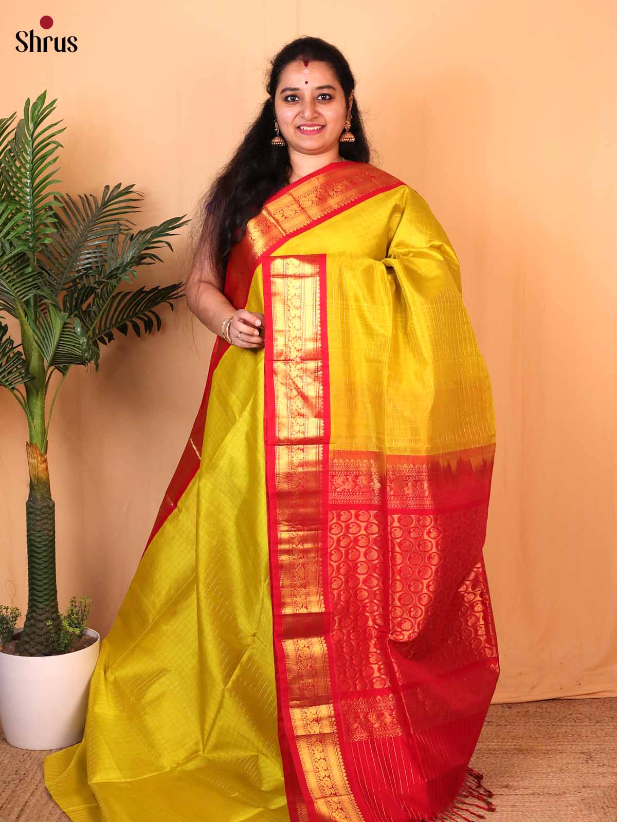 CLS09021 - Silk Cotton Saree - Shop on Shrus.com