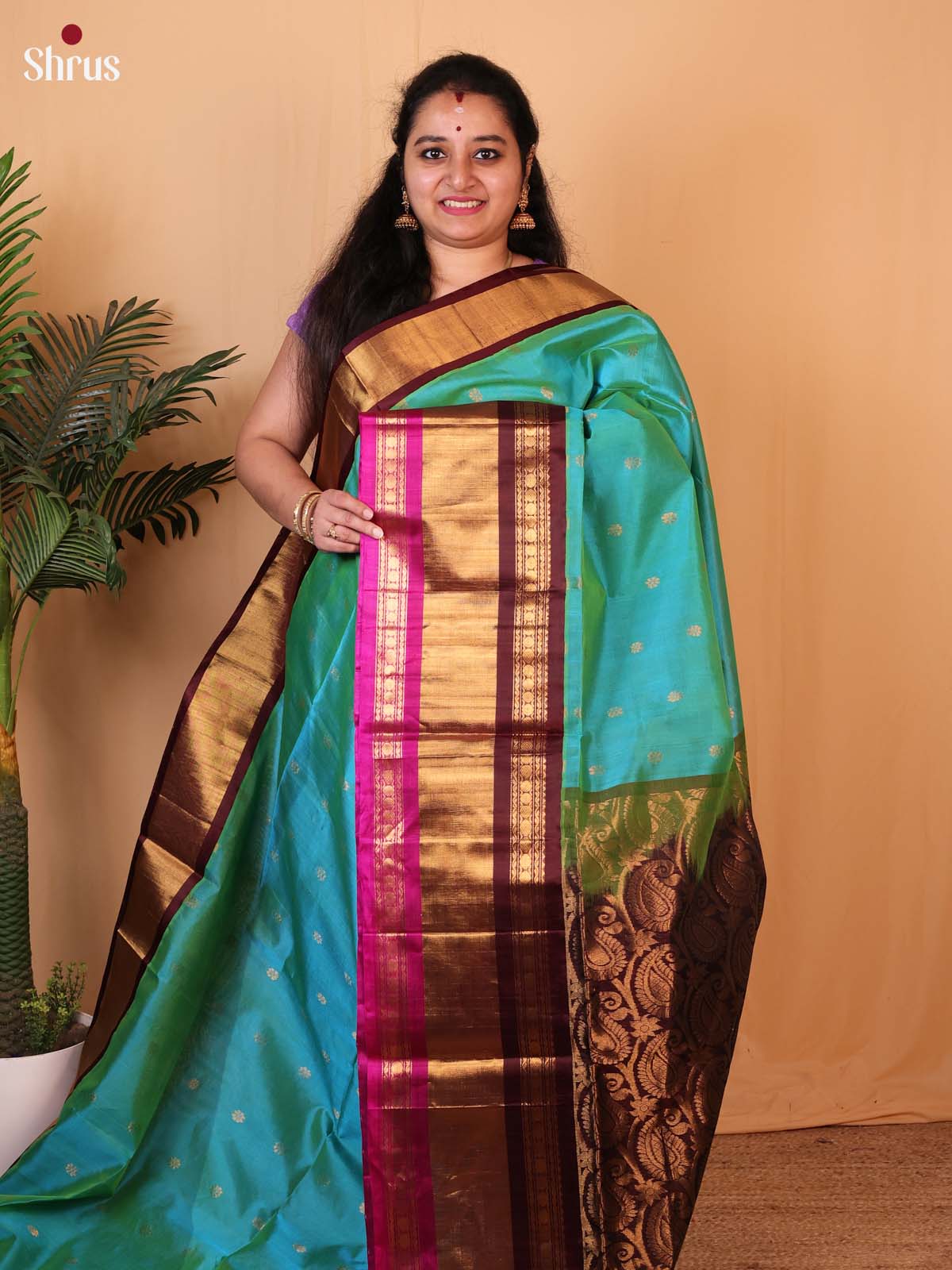 CLS09026 - Silk Cotton Saree - Shop on Shrus.com