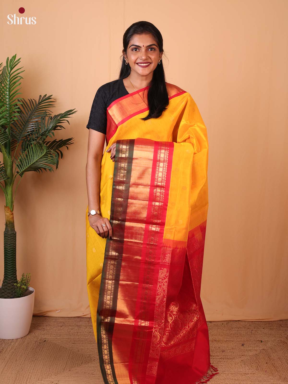 CLS09027 - Silk Cotton Saree - Shop on Shrus.com
