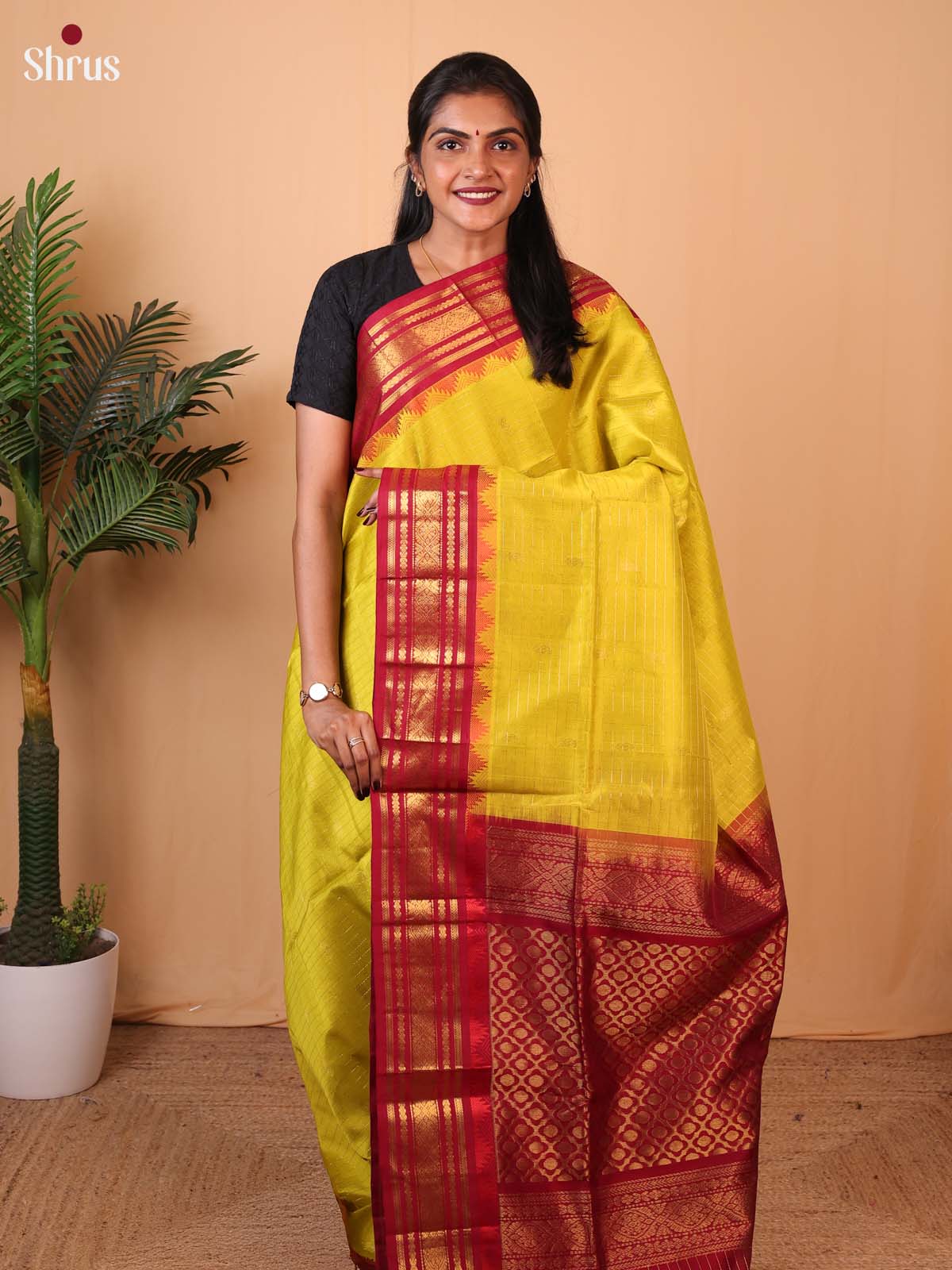 Elegant Mustard Silk Cotton Saree With Subtle Zari Kattams(Checks) And Buttas Across The Body And Contrast Maroon Border - Shop on Shrus.com