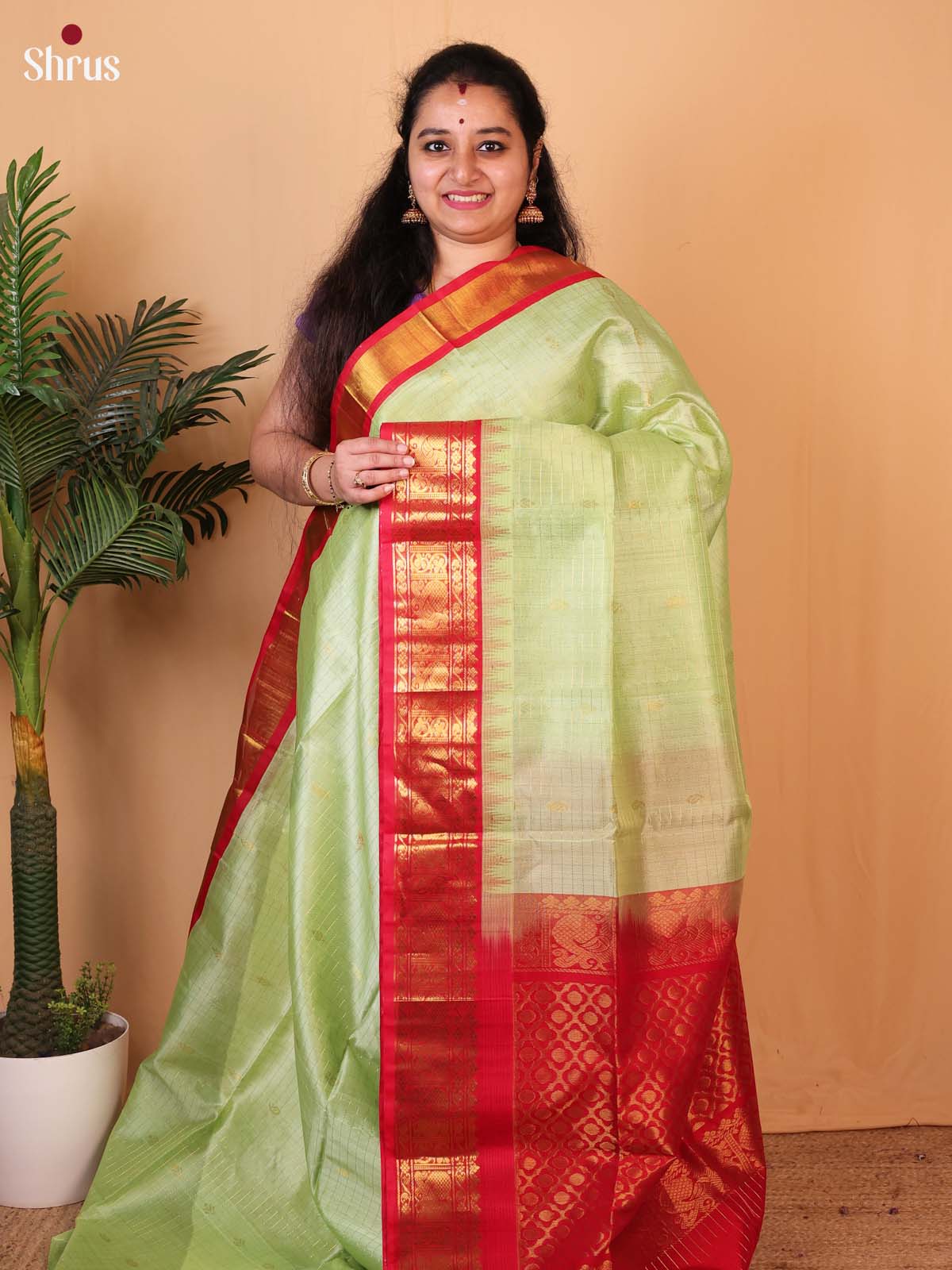 Pista Green & Red - Silk Cotton Saree - Shop on Shrus.com