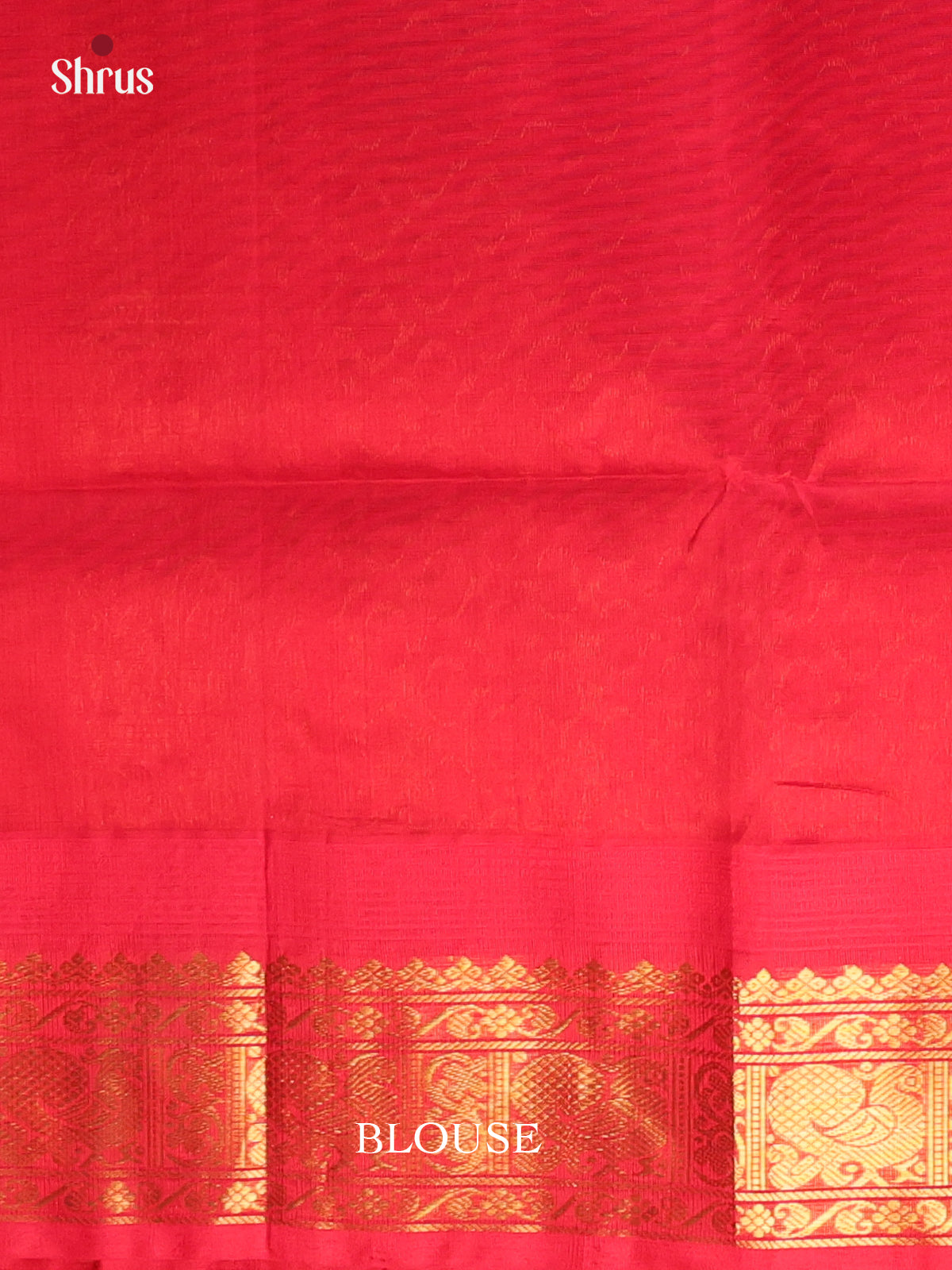 Pista Green & Red - Silk Cotton Saree - Shop on Shrus.com