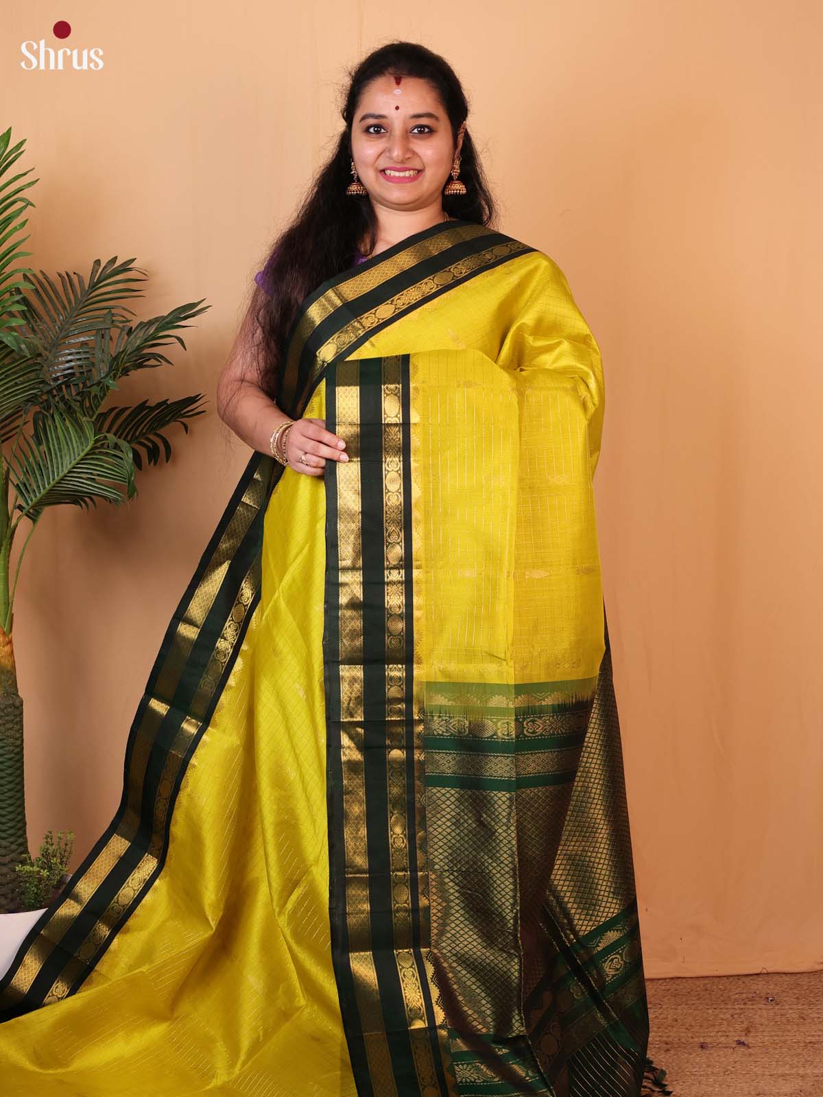 Mustardy Green & Green- Silk Cotton Saree - Shop on Shrus.com