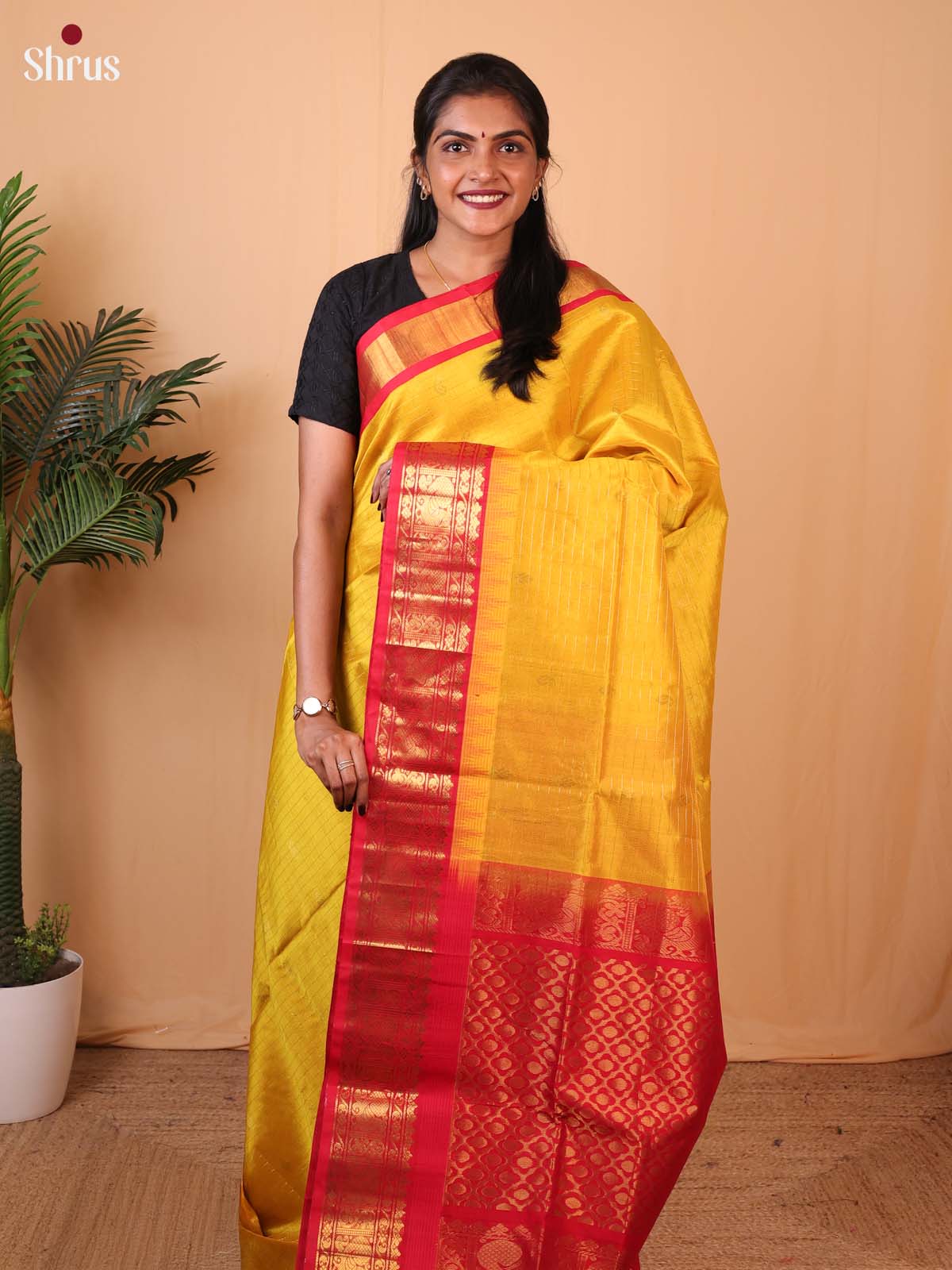 Yellow & Red - Silk Cotton Saree - Shop on Shrus.com
