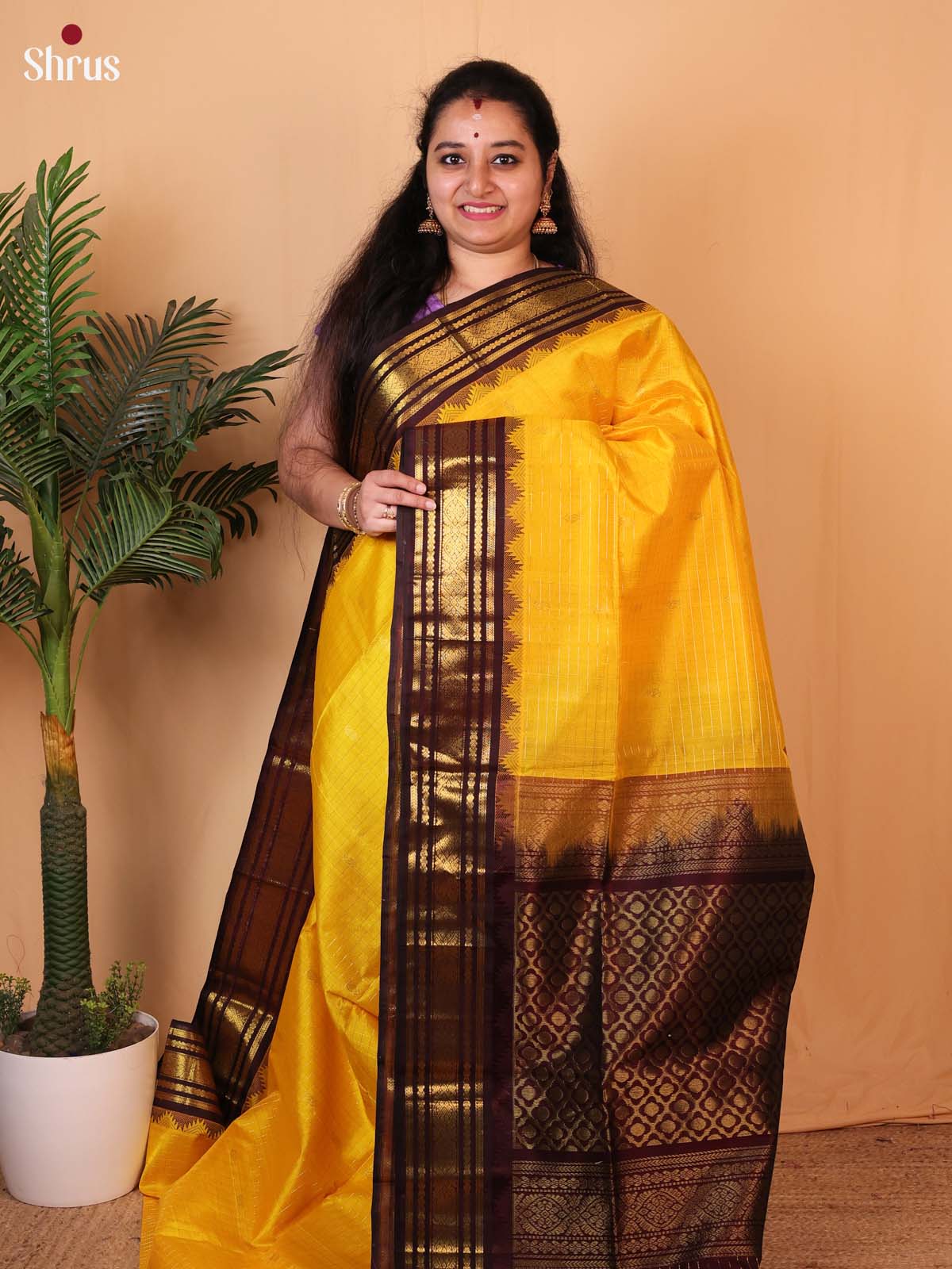 CLS09037 - Silk Cotton Saree - Shop on Shrus.com